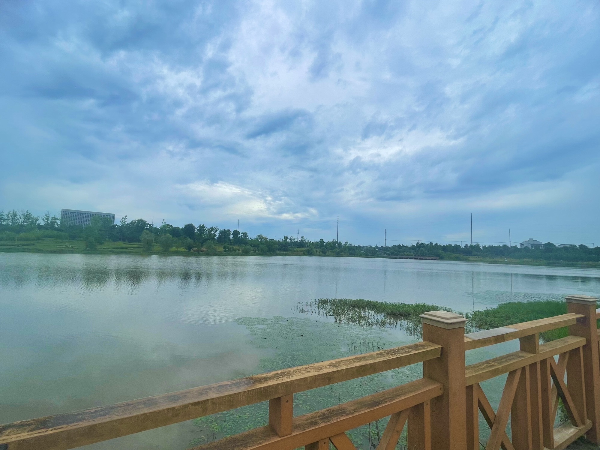 未名湖生态湿地公园旅行图片 3