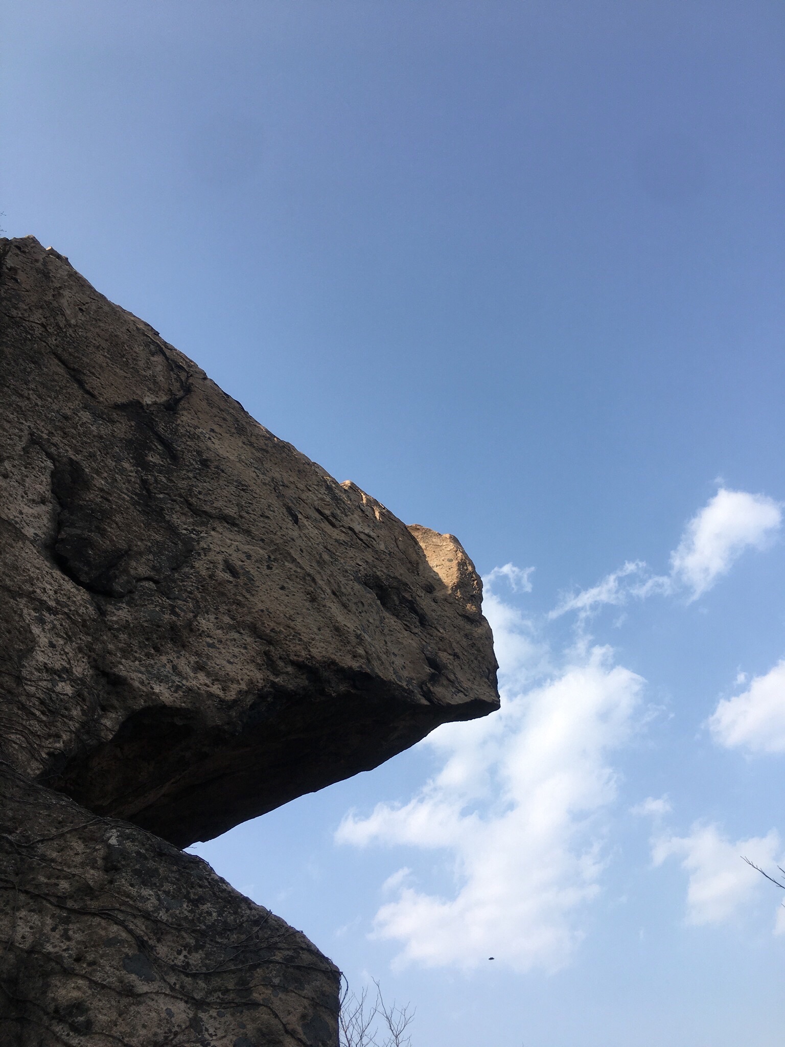 未名湖生态湿地公园旅行图片 3
