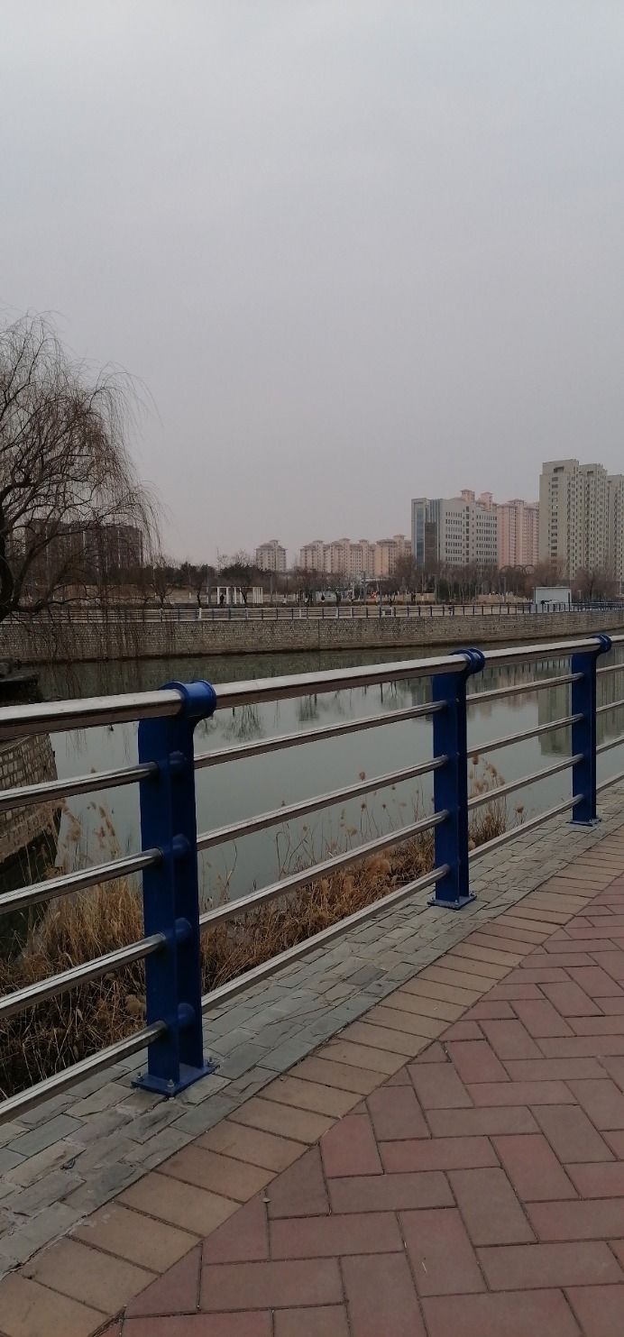 淄川体育公园旅行图片 3