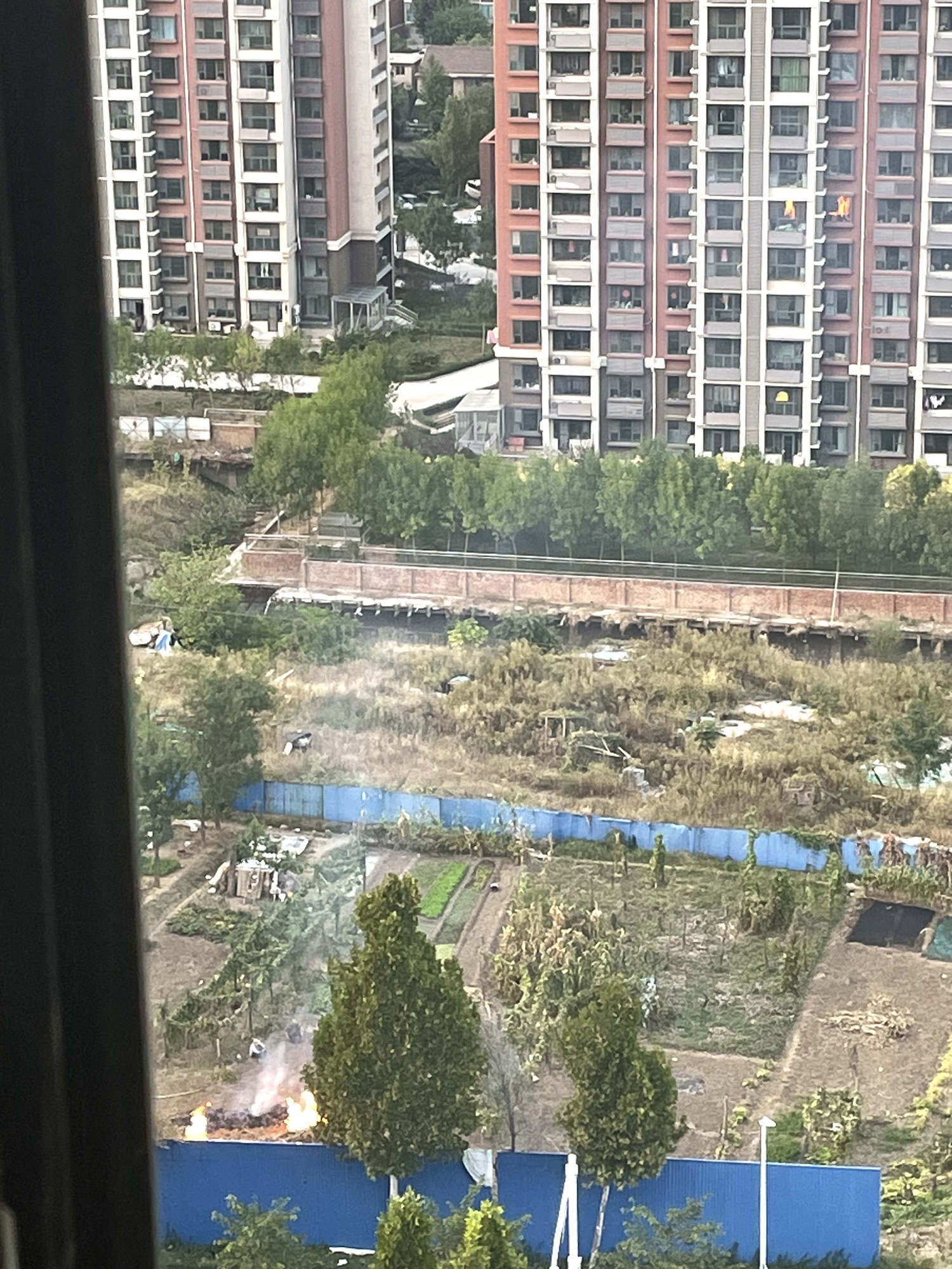 淄川体育公园旅行图片 2