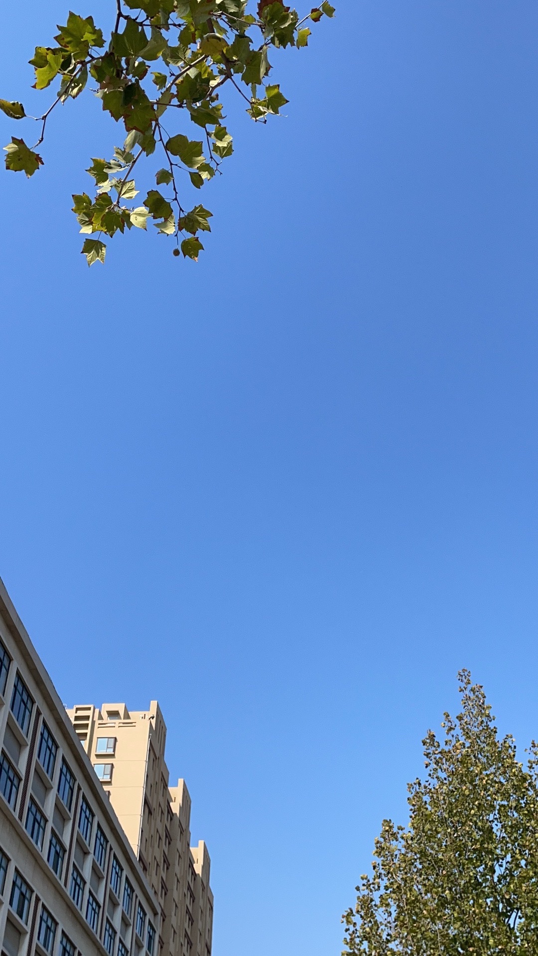 淄川体育公园旅行图片 1