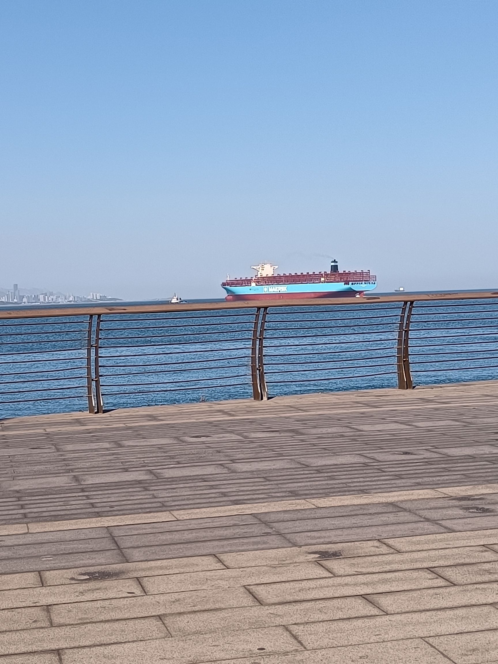 飞翔的鸥旅行图片 2