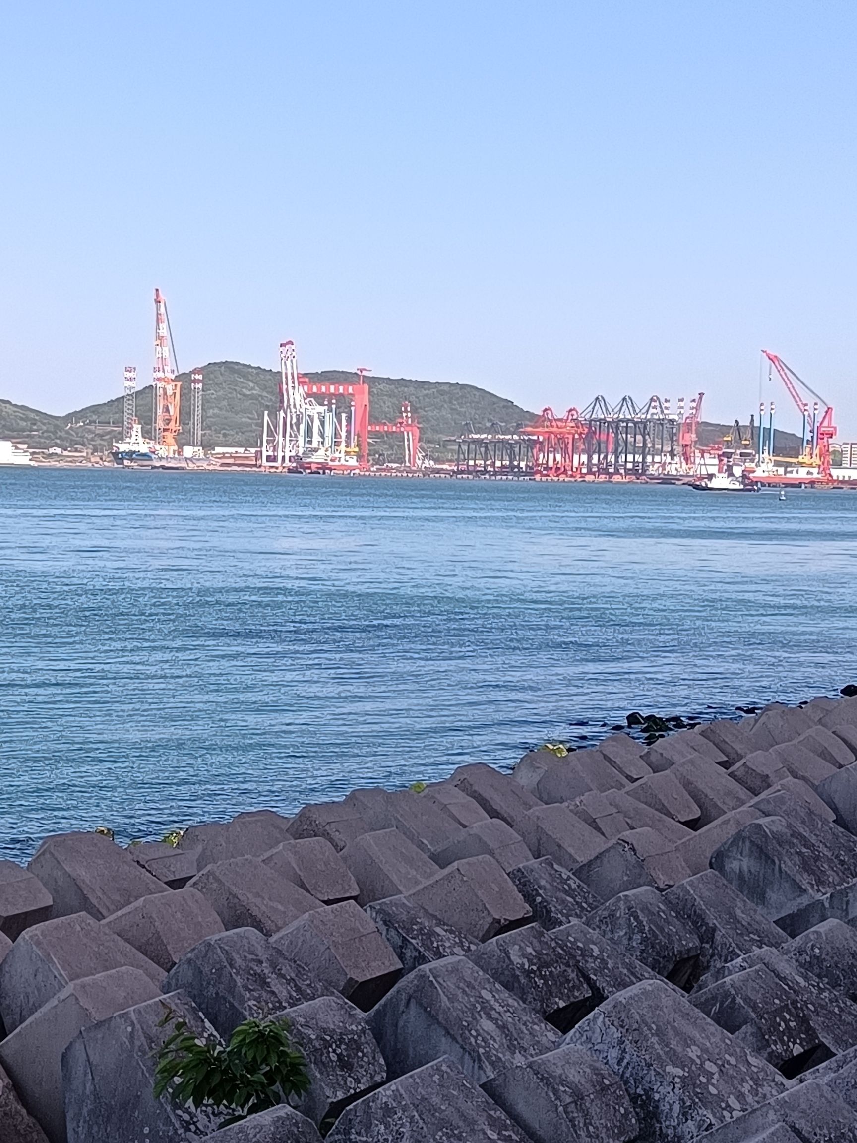 飞翔的鸥旅行图片 3