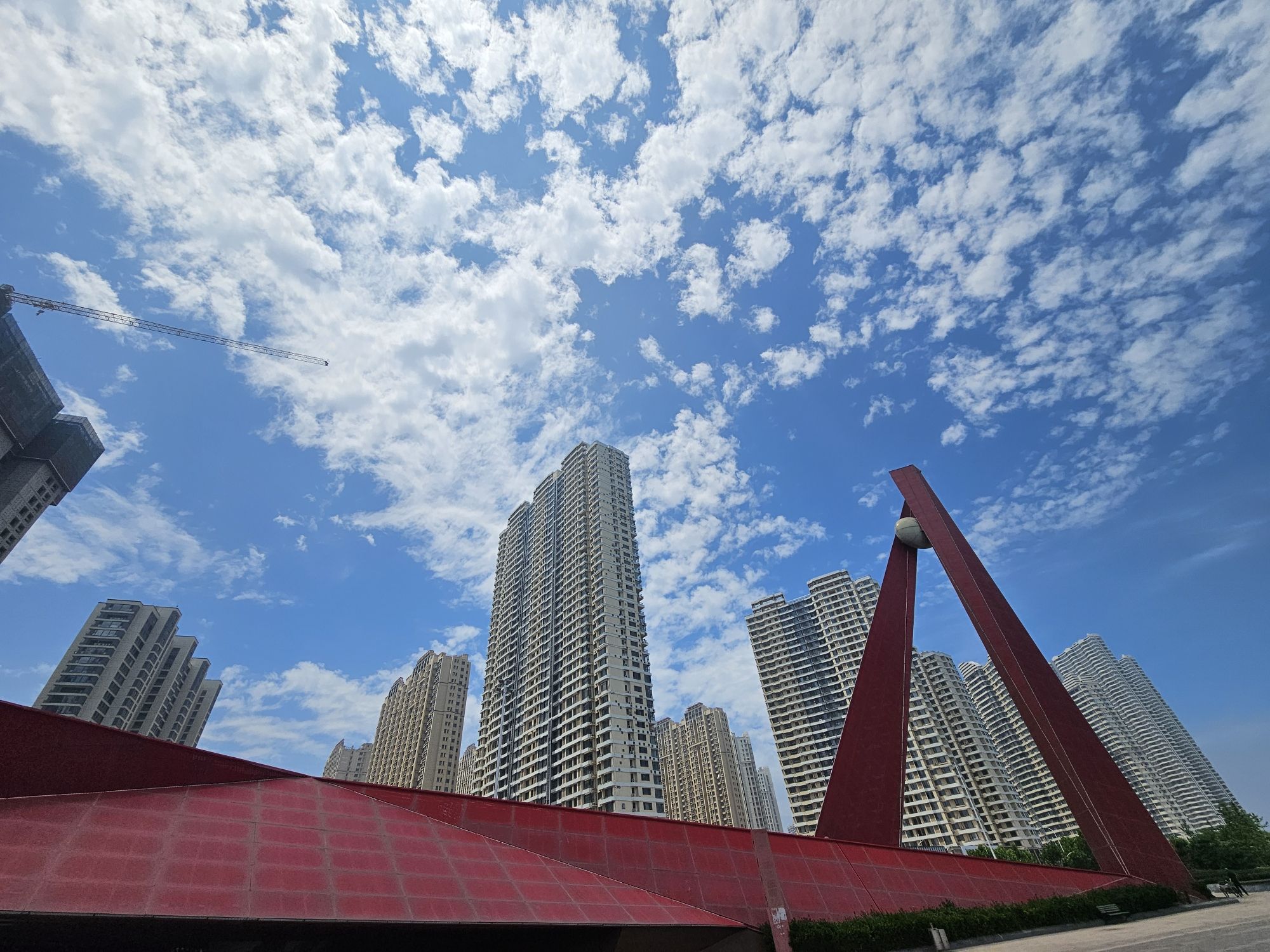 飞翔的鸥旅行图片 1