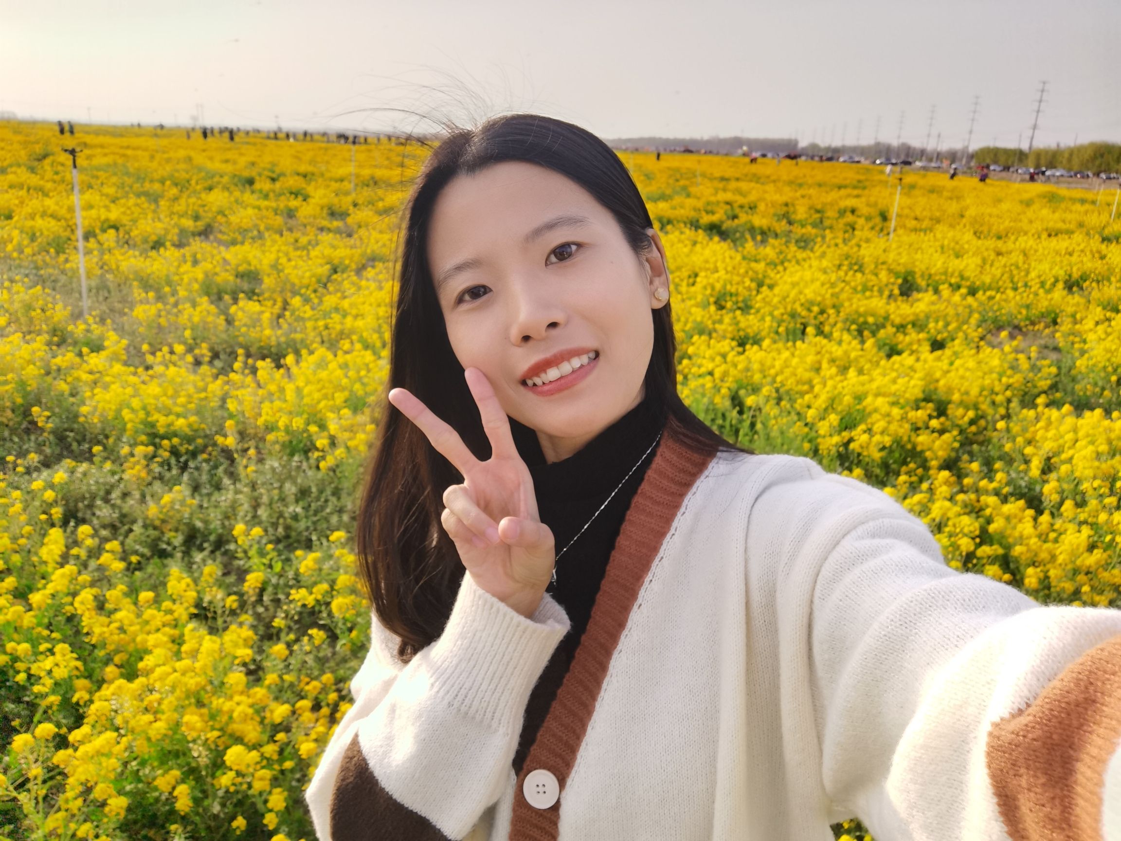 大地花海旅行图片 3