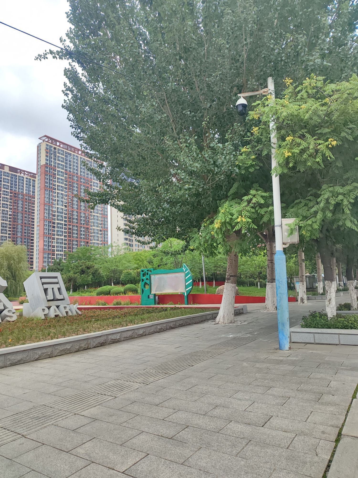 四季公园旅行图片 1
