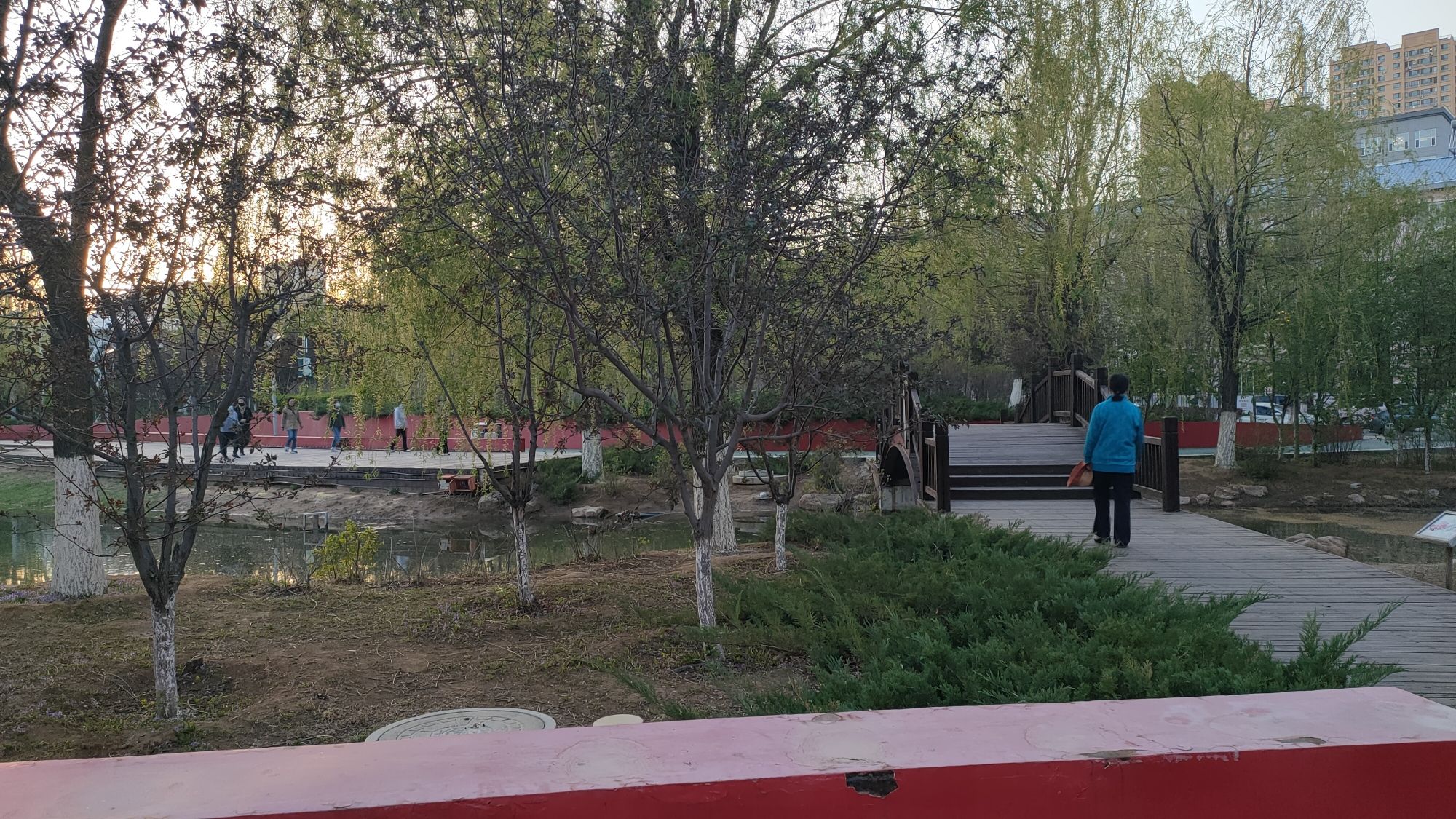 四季公园旅行图片 3