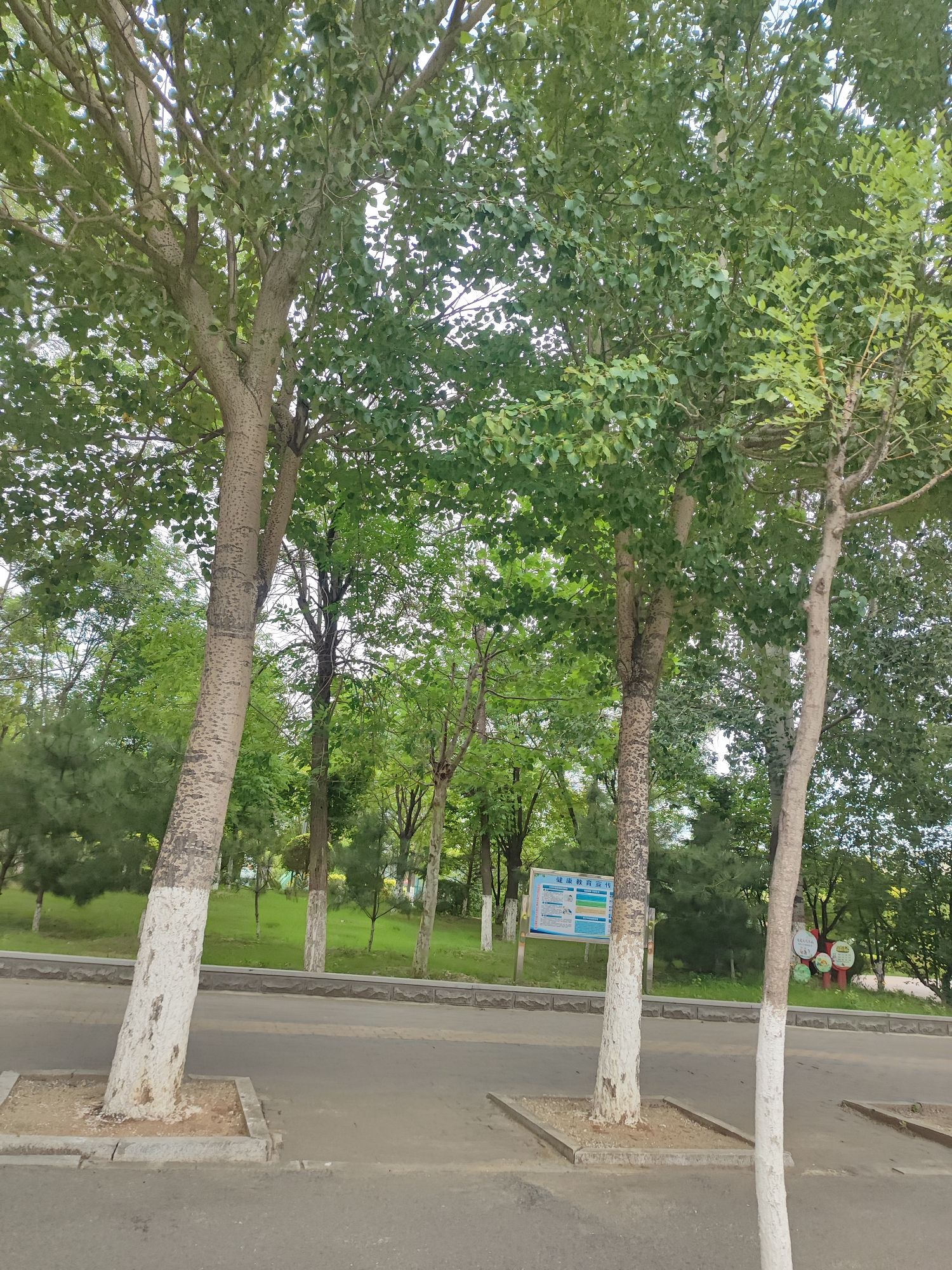 盘锦体育公园旅行图片 2