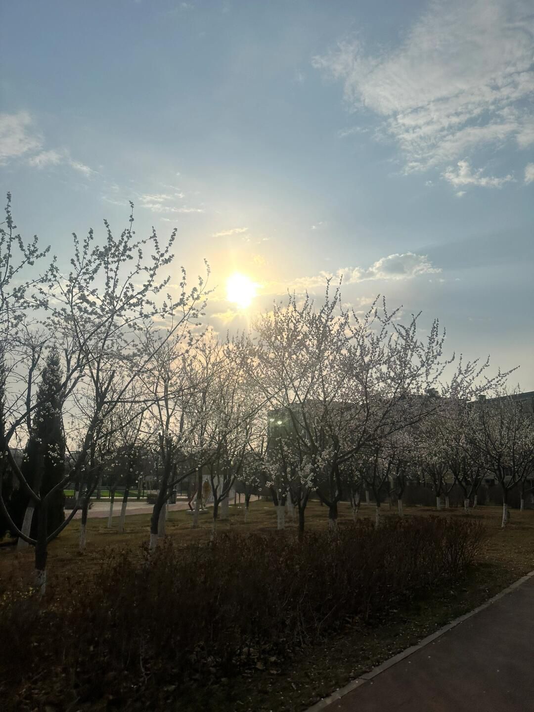 盘锦体育公园旅行图片 1