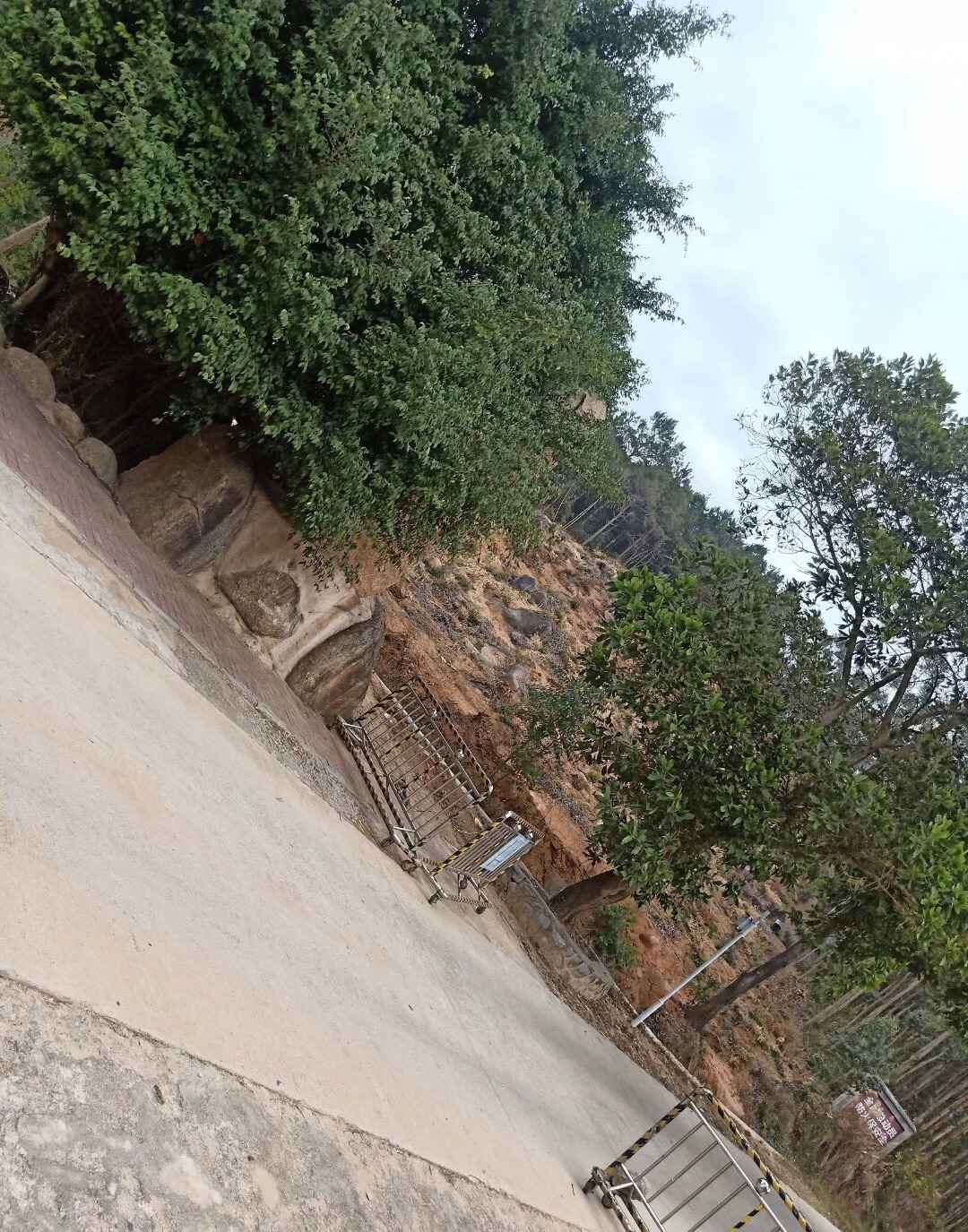 那雾山森林公园旅行图片 3