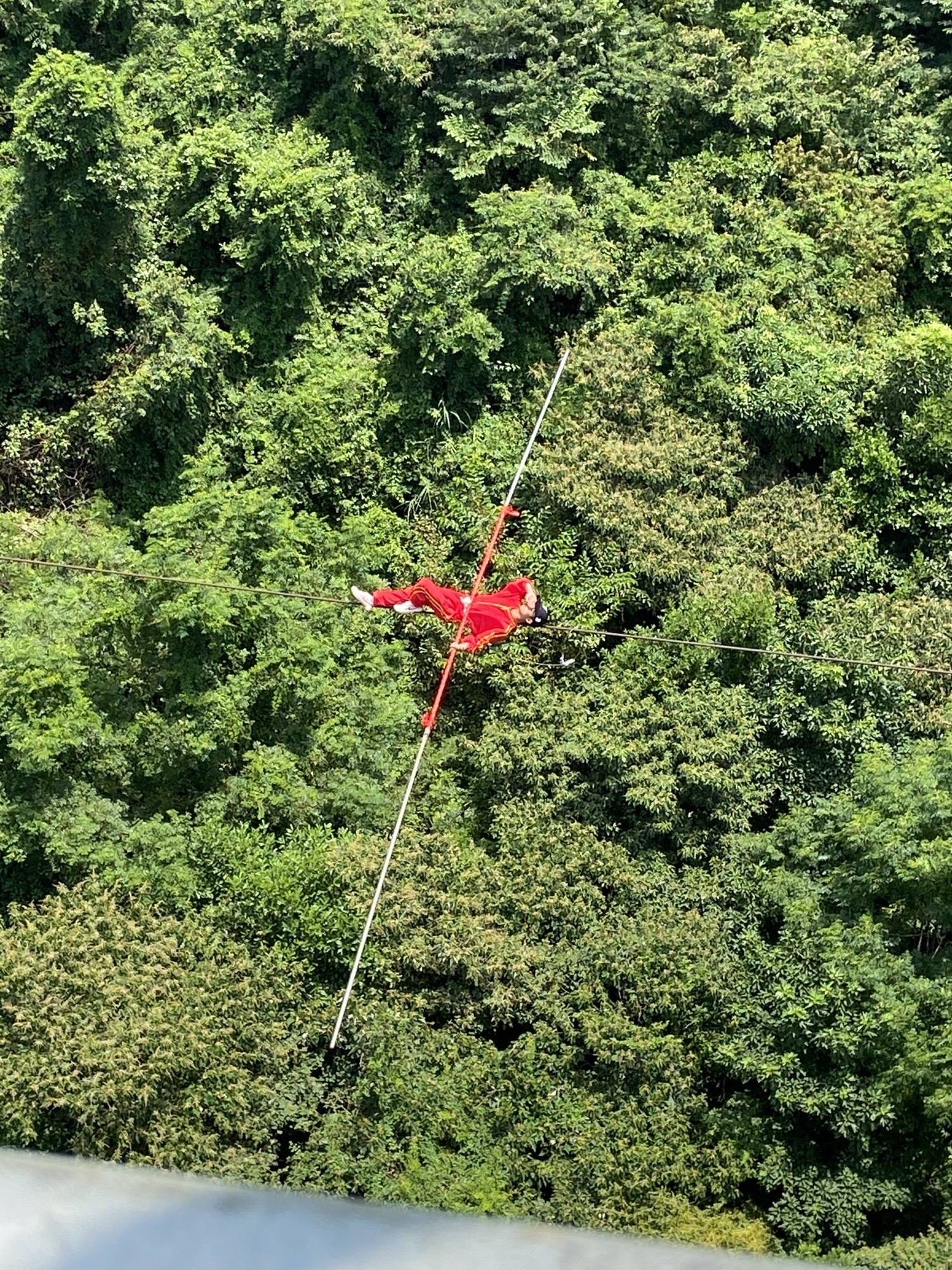 那雾山森林公园旅行图片 1