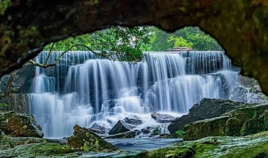 那雾山森林公园旅行图片 3