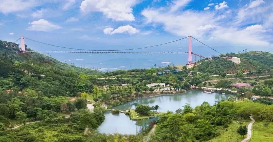 那雾山森林公园旅行图片 1
