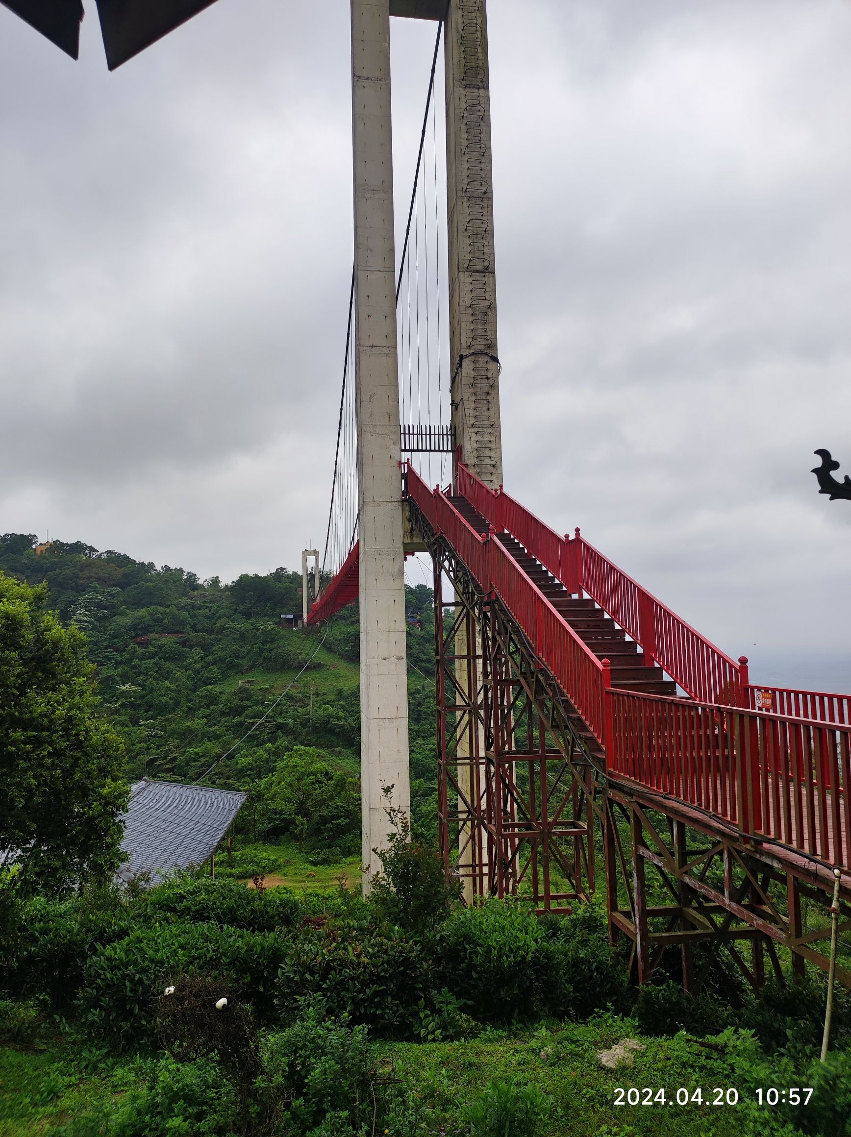 那雾山森林公园旅行图片 2