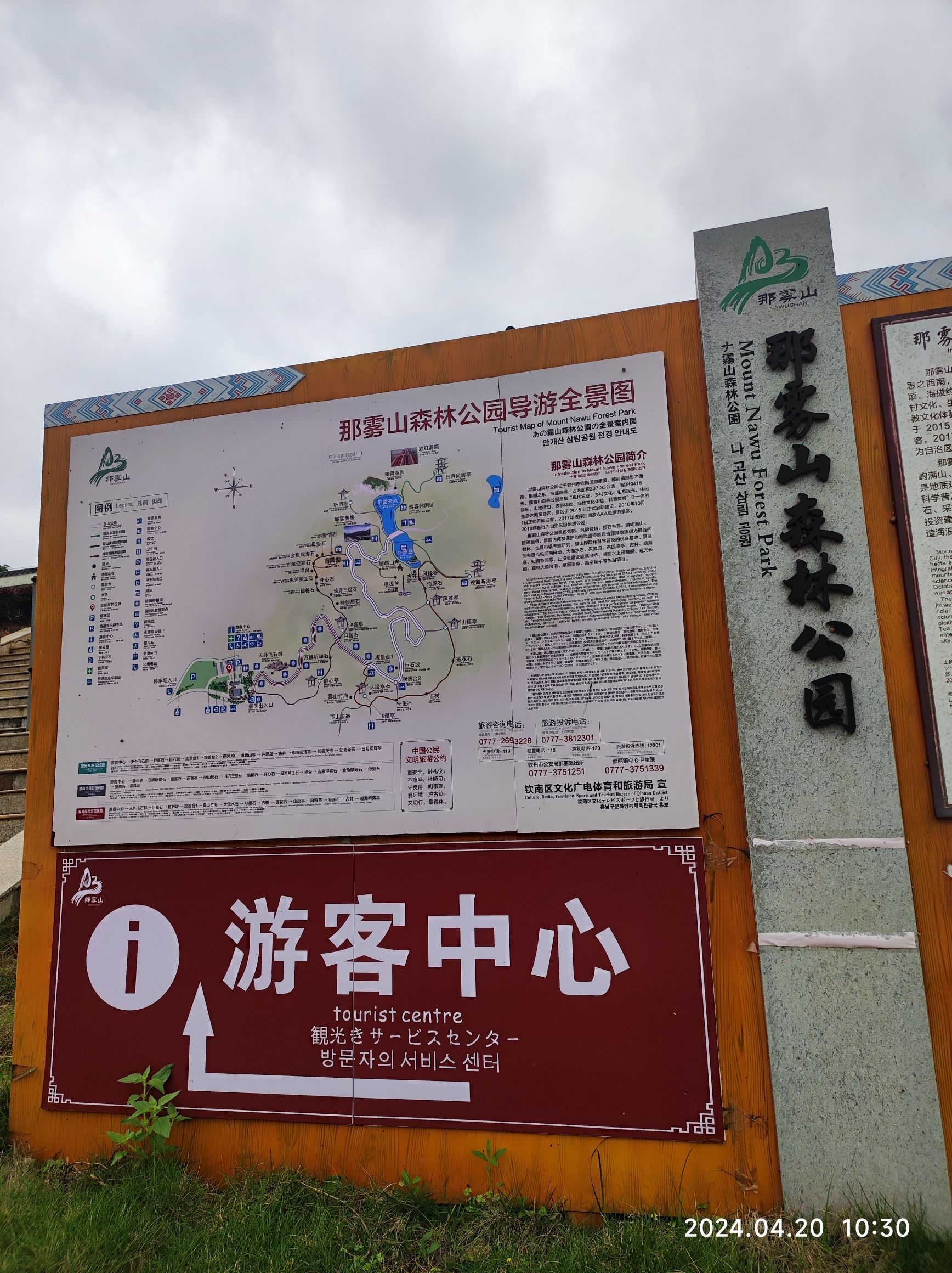 那雾山森林公园旅行图片 3