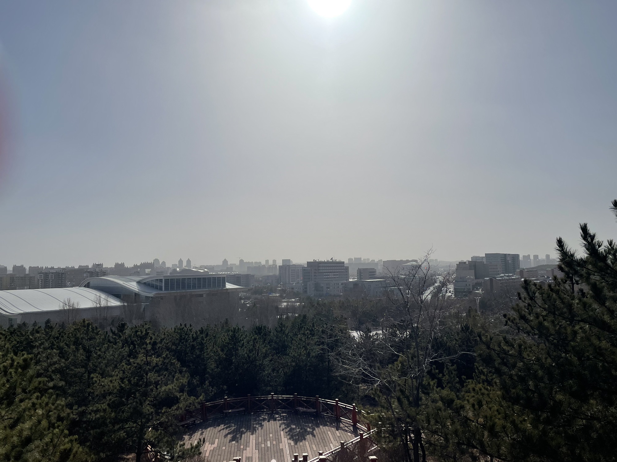 康巴什中心公园旅行图片 2