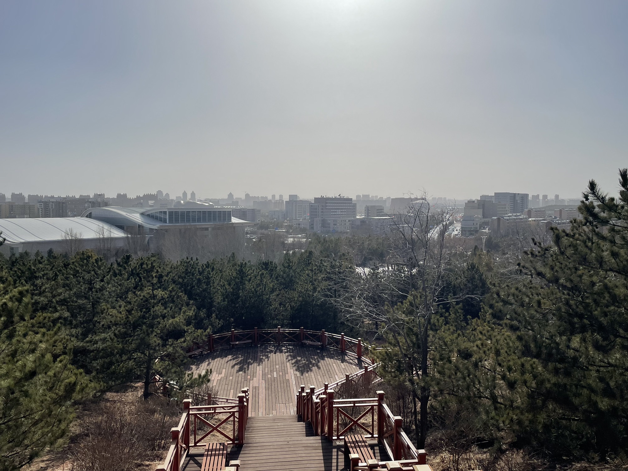 康巴什中心公园旅行图片 1