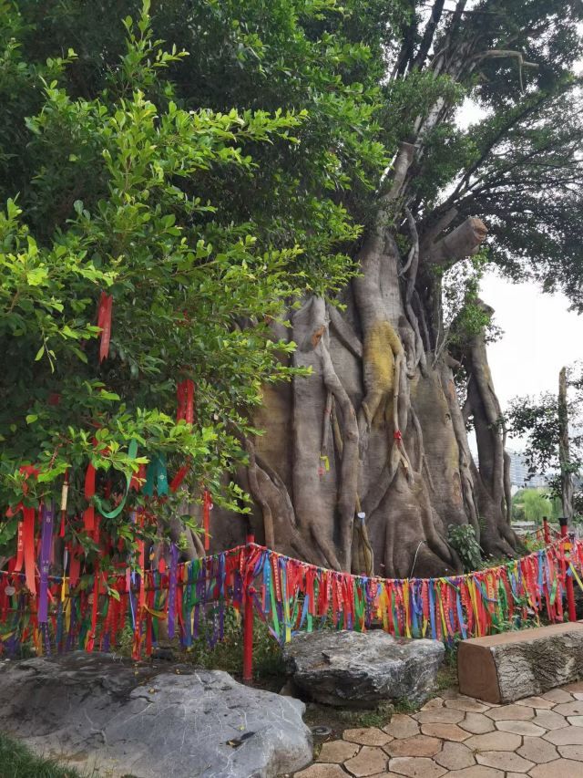 龙旺·闽越水镇旅行图片 3