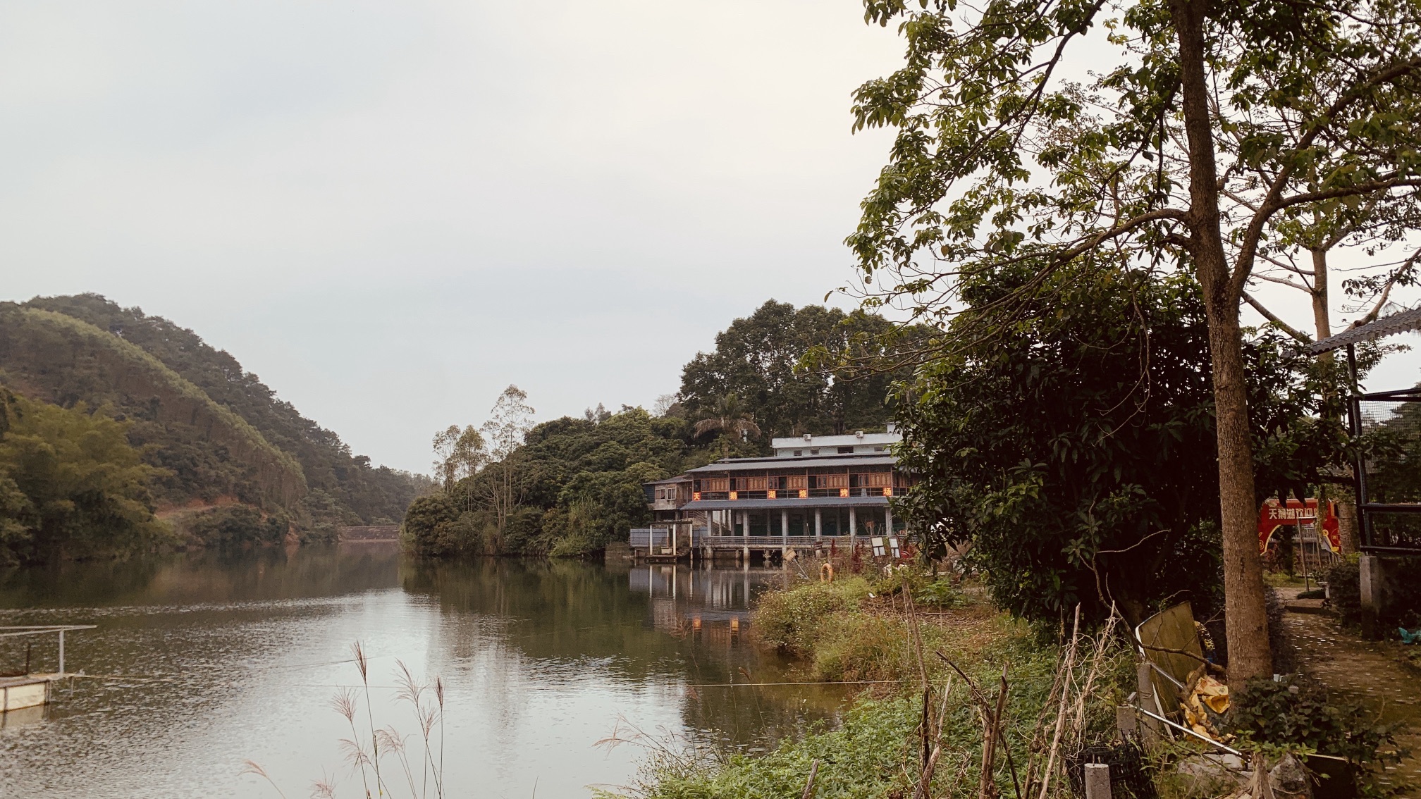 天鹅湖生态园旅行图片 3