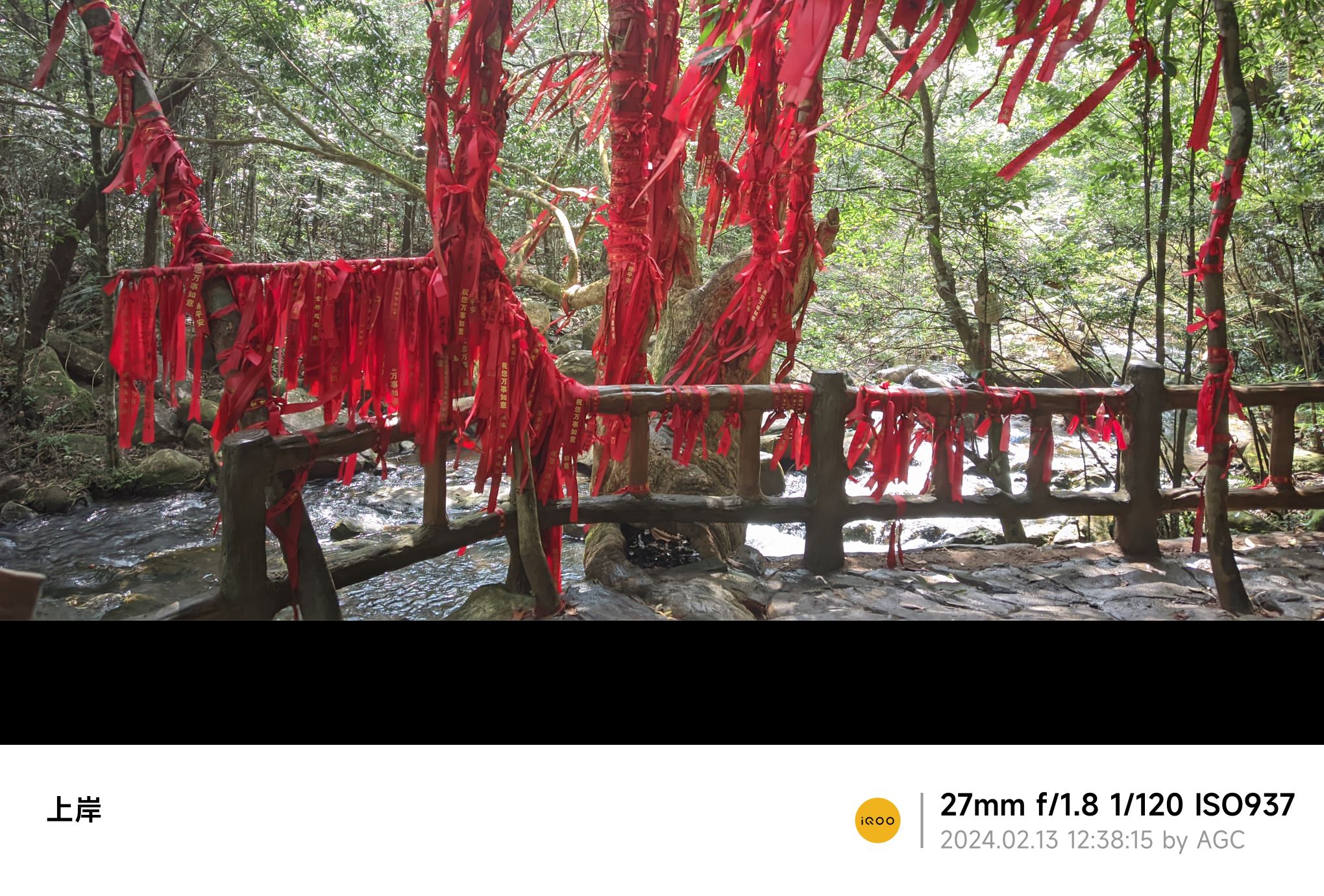 天鹅湖生态园旅行图片 3