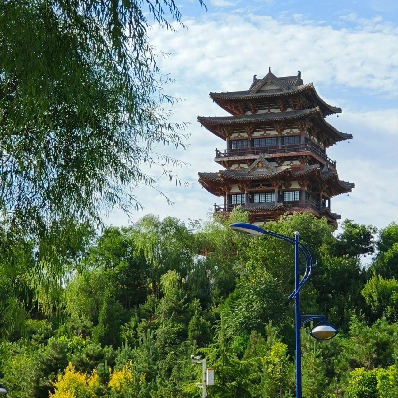 东湖公园旅行图片 2