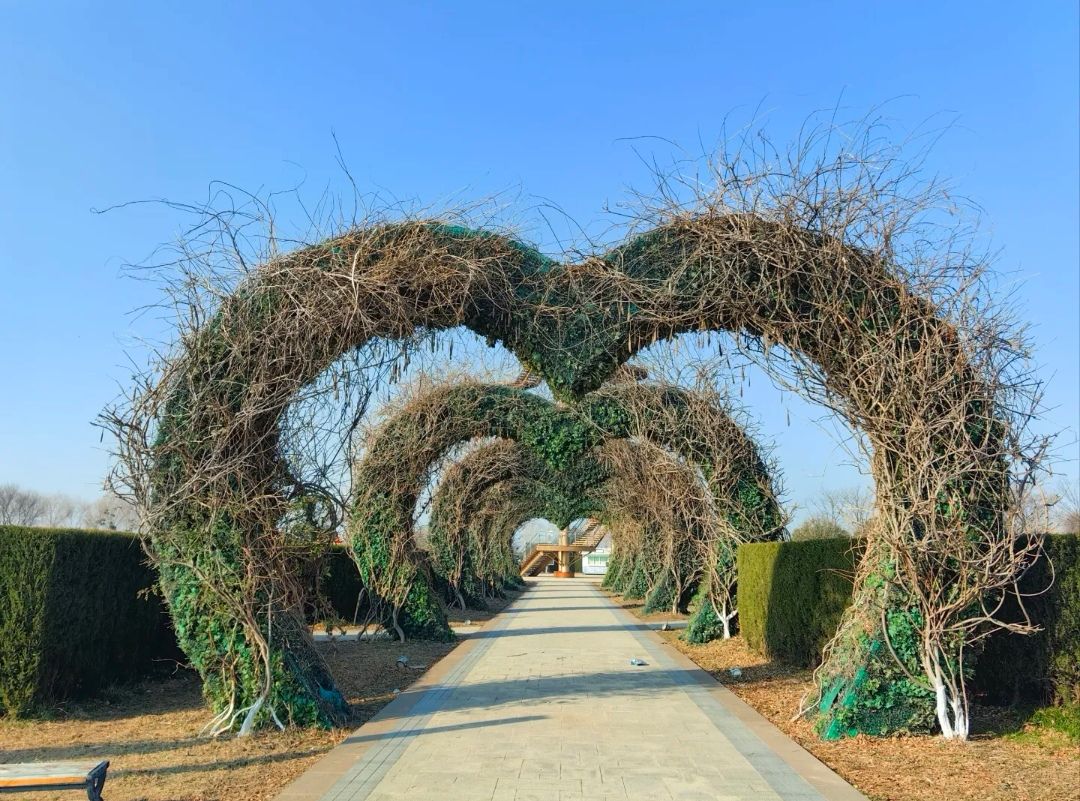 梦幻迷宫旅行图片 1