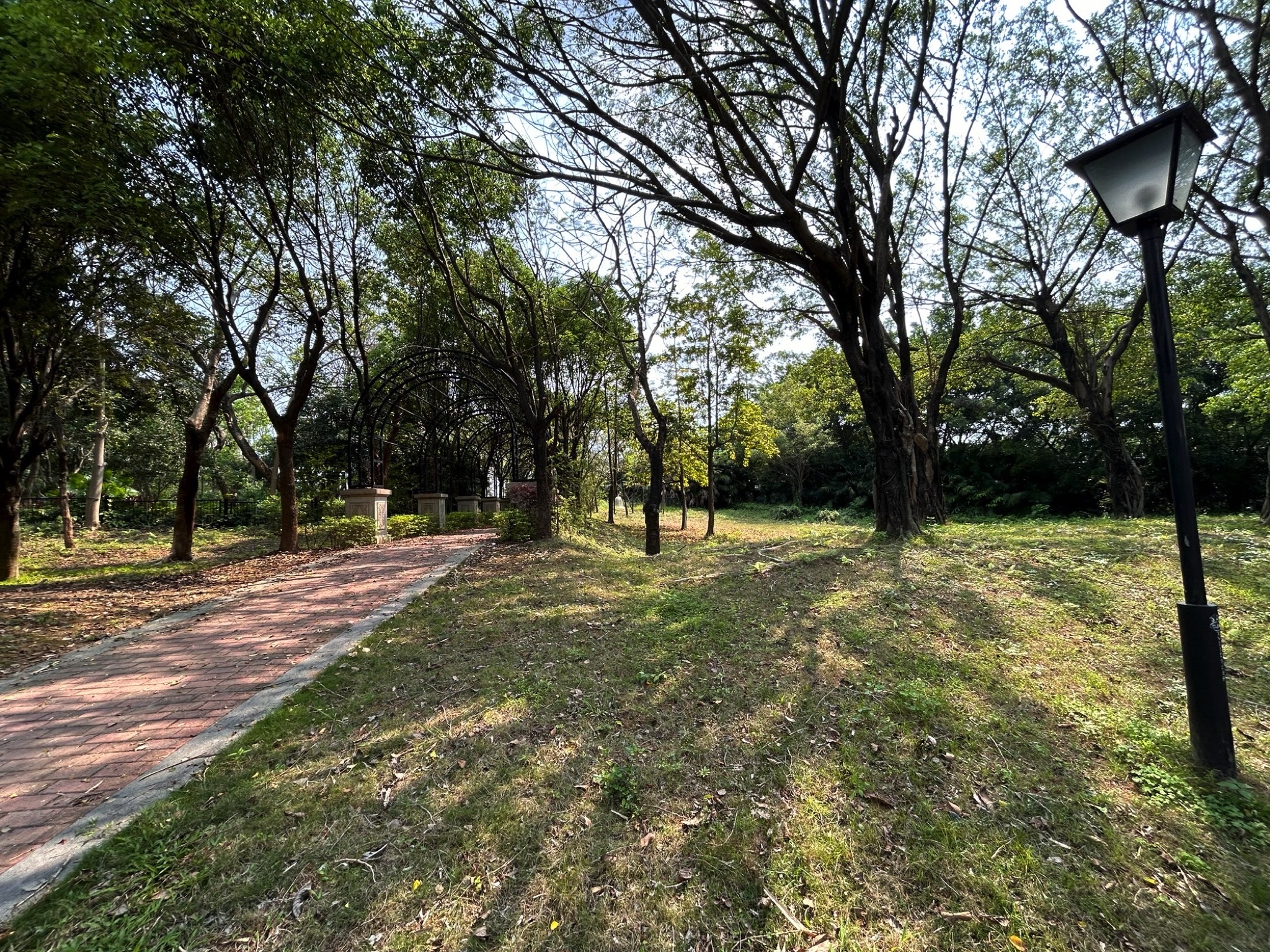 七彩滨江公园旅行图片 3