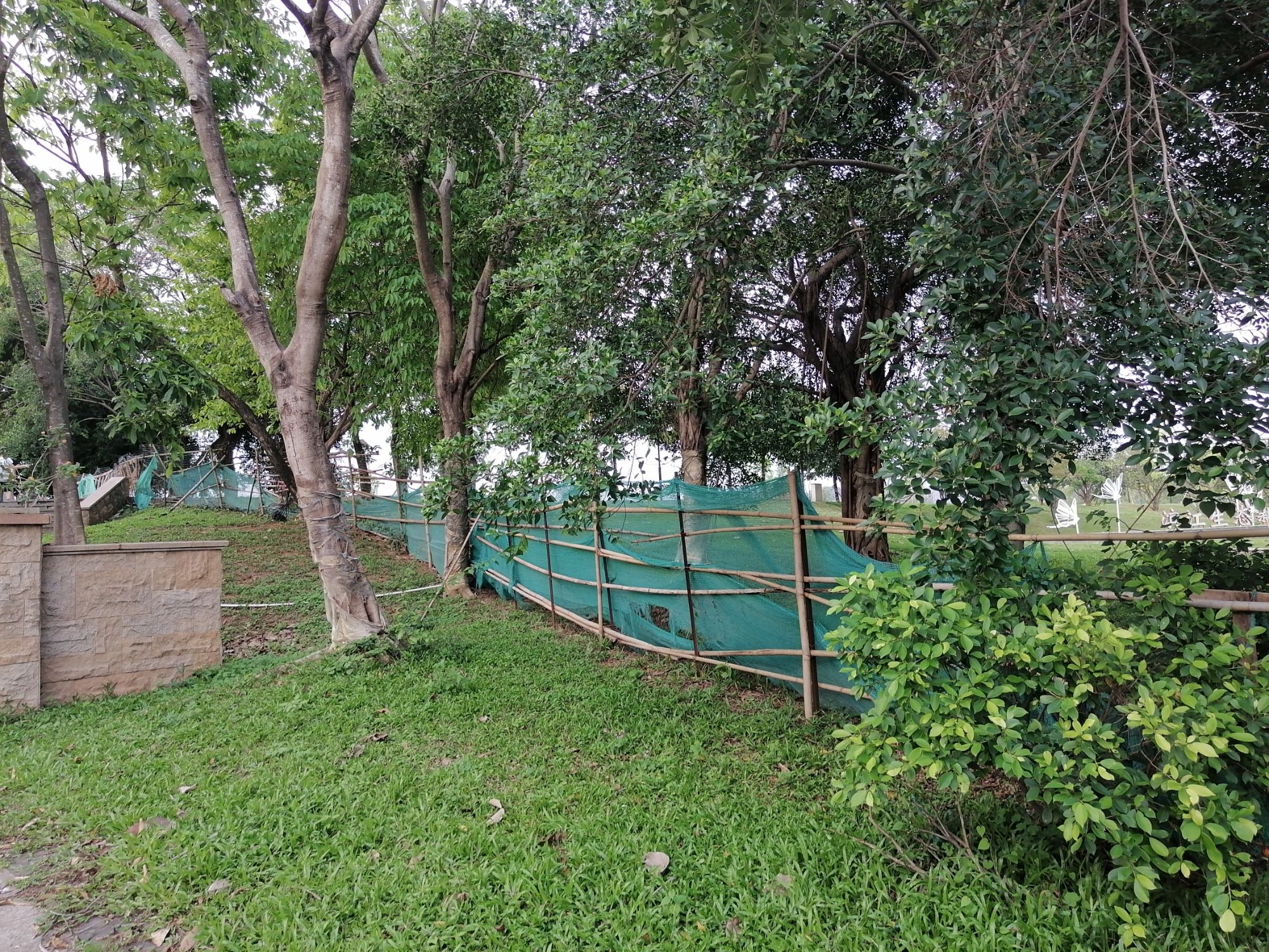 七彩滨江公园旅行图片 3