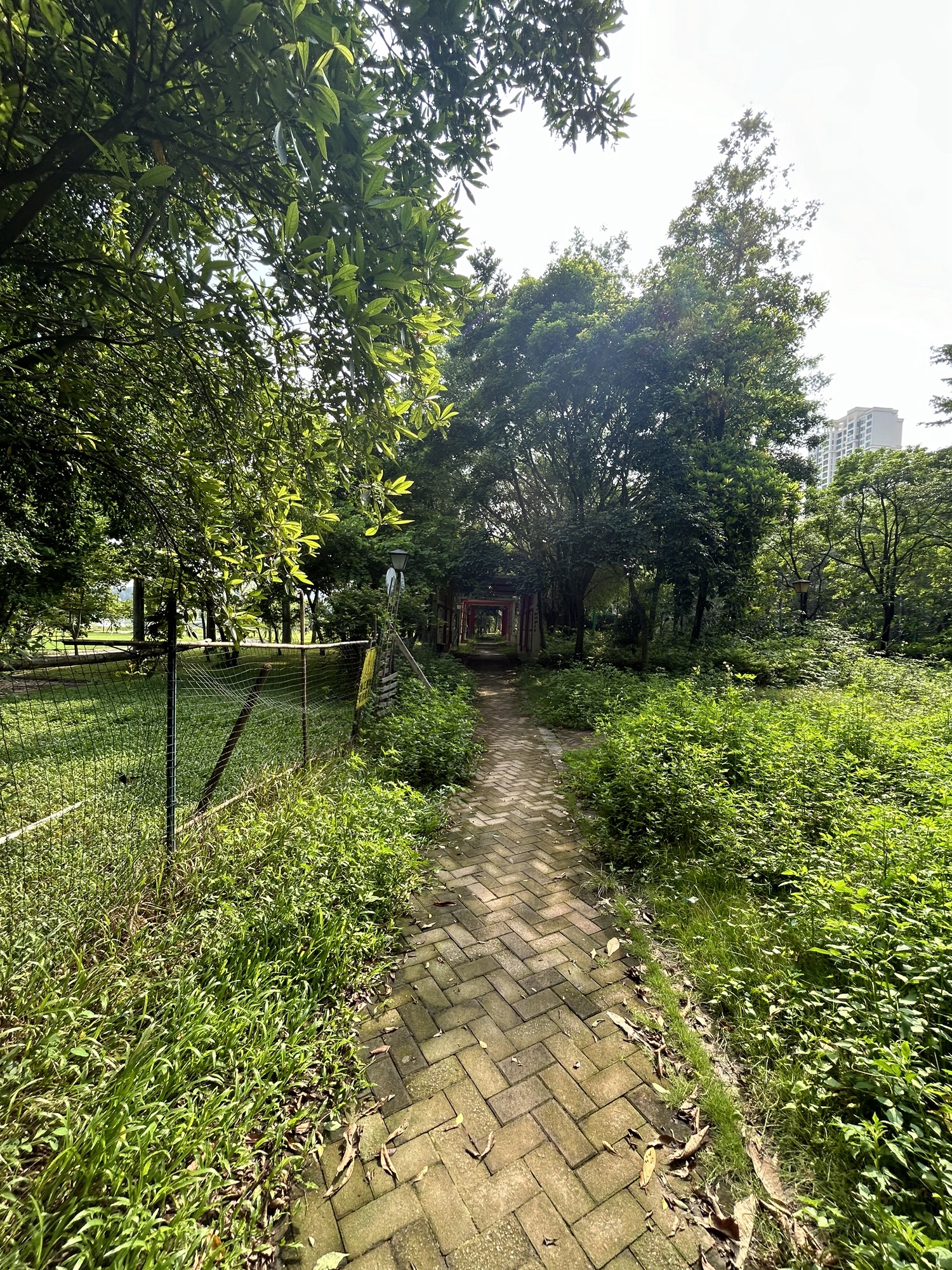 七彩滨江公园旅行图片 1