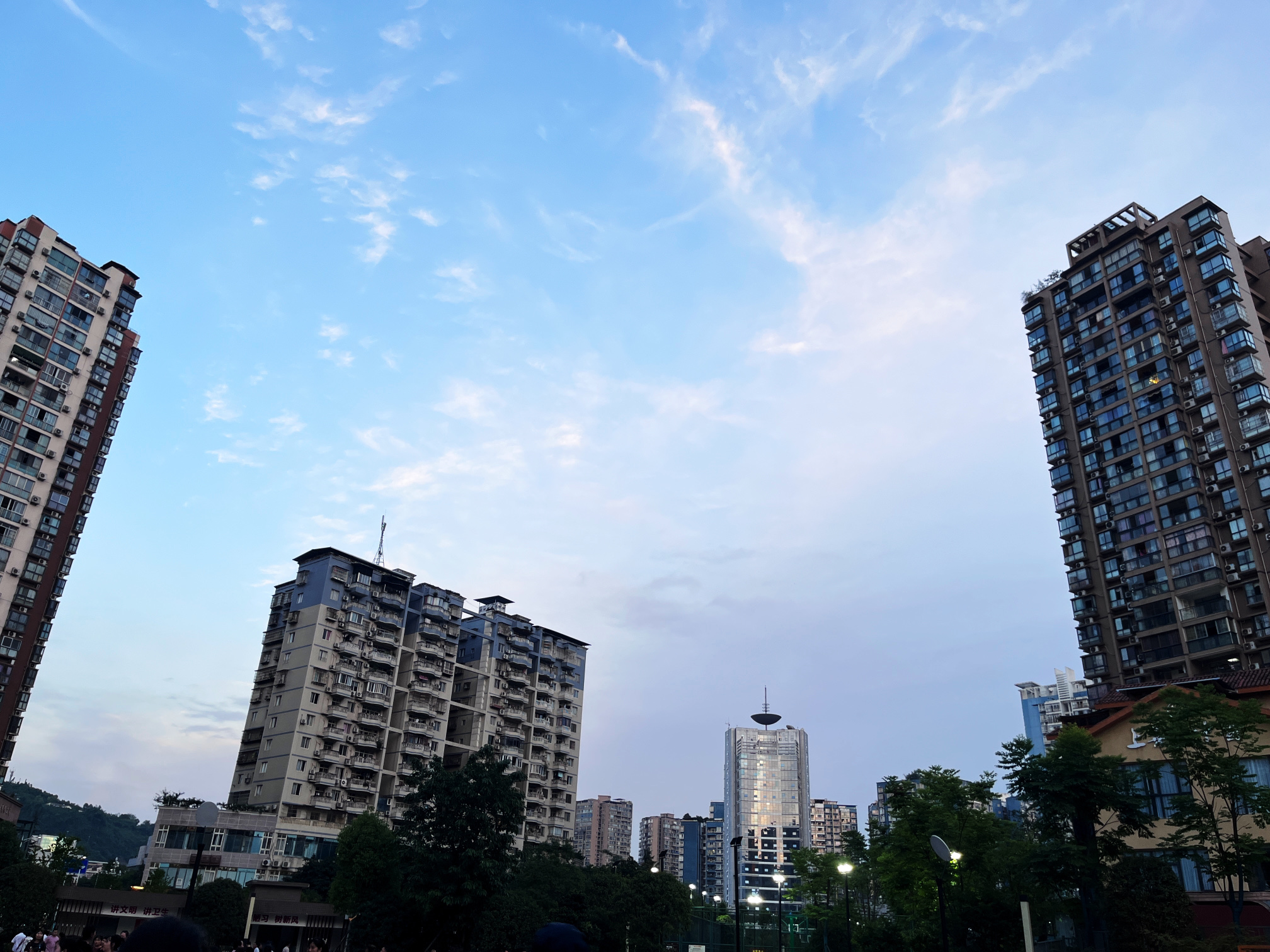紫荆花公园旅行图片 1