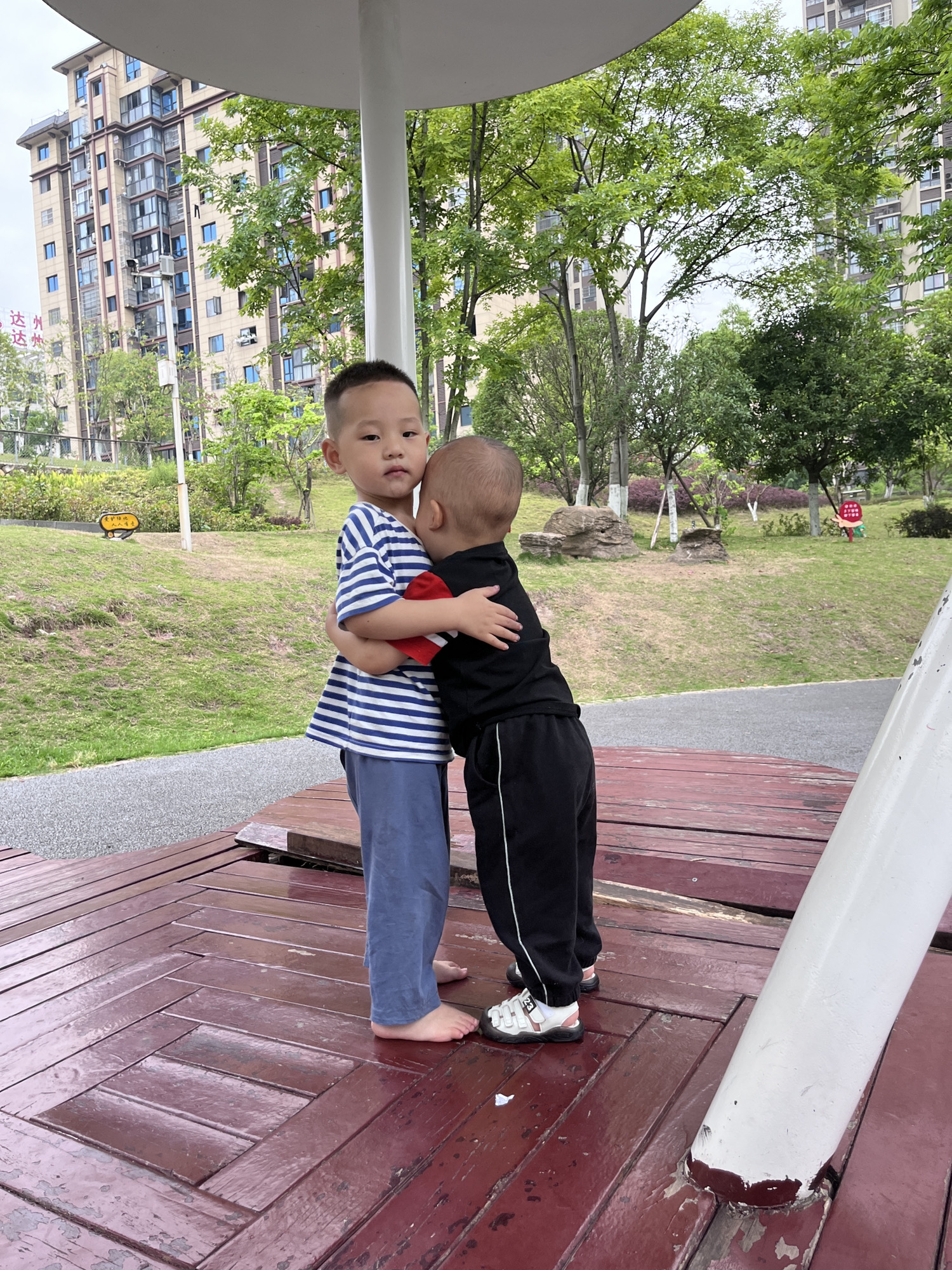 紫荆花公园旅行图片 2