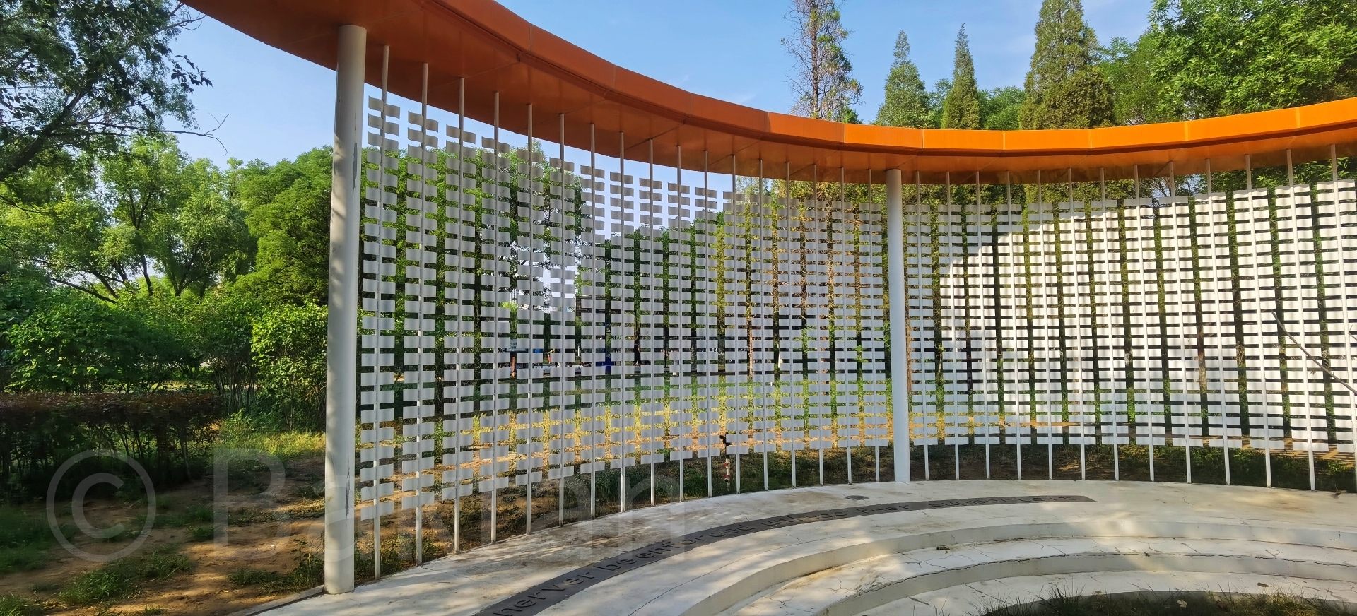 友谊广场旅行图片 3