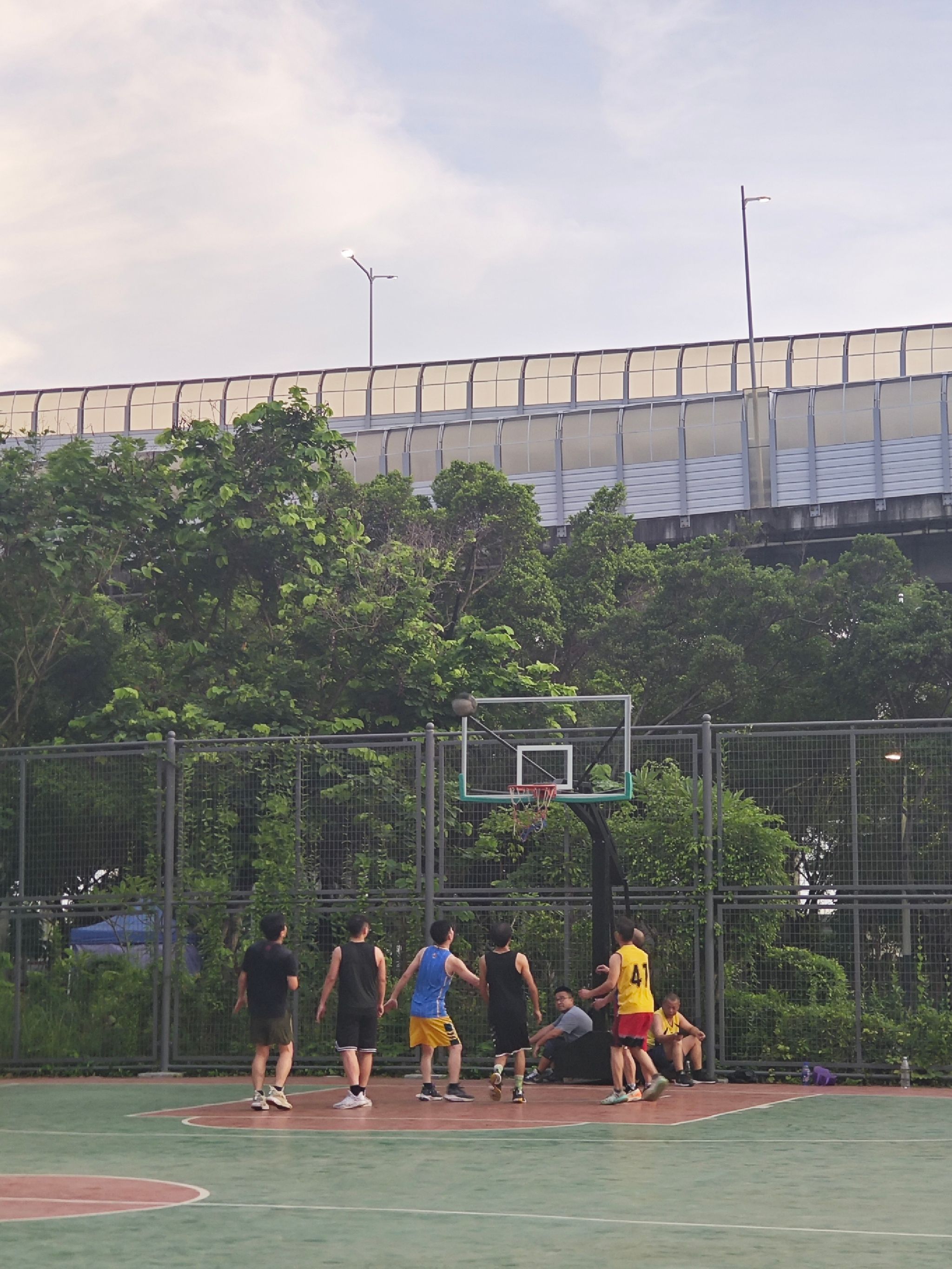 场地封面-坪洲篮球公园