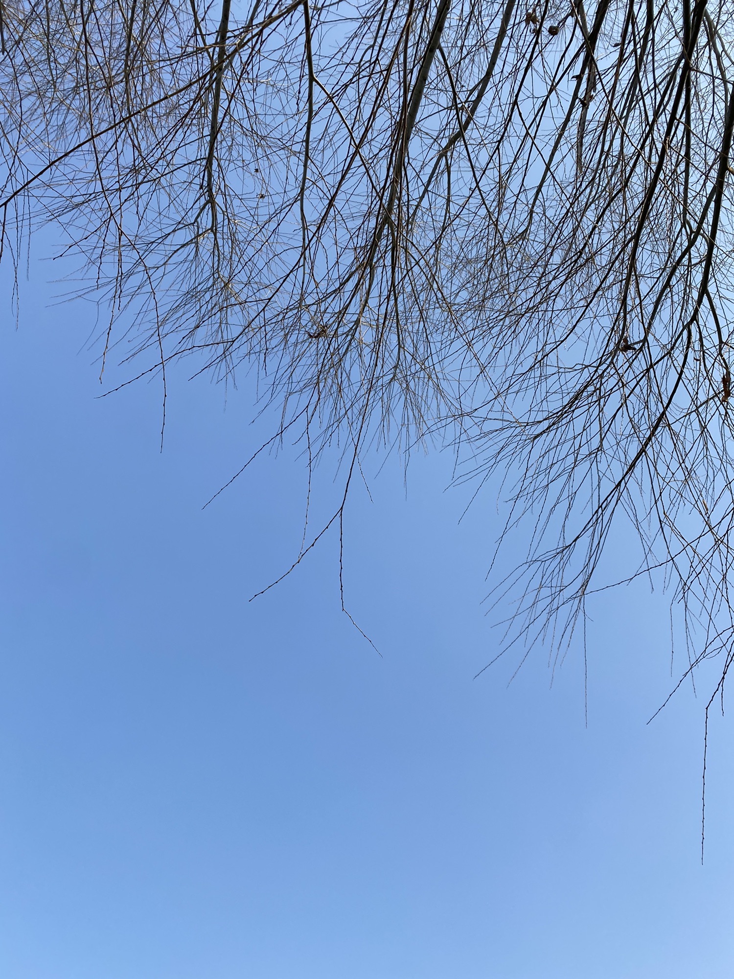 芦桥沟湿地生态公园旅行图片 2