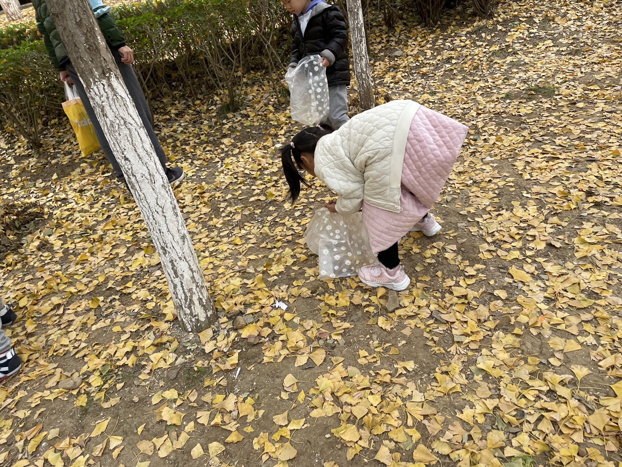 火炬体育公园旅行图片 3