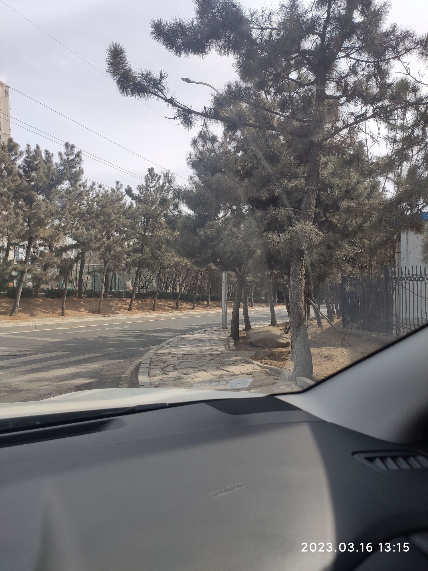 火炬体育公园旅行图片 3