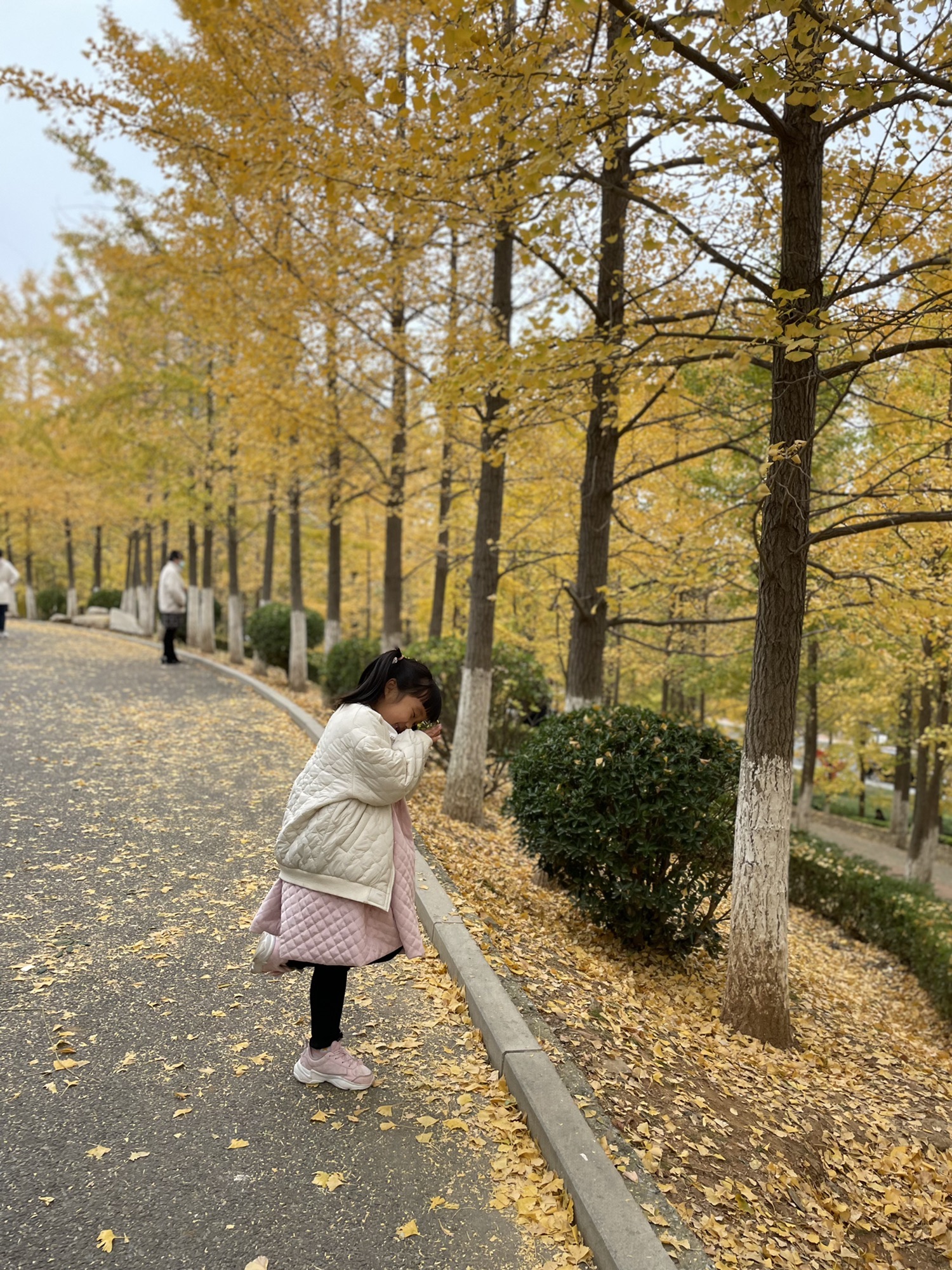 火炬体育公园旅行图片 2