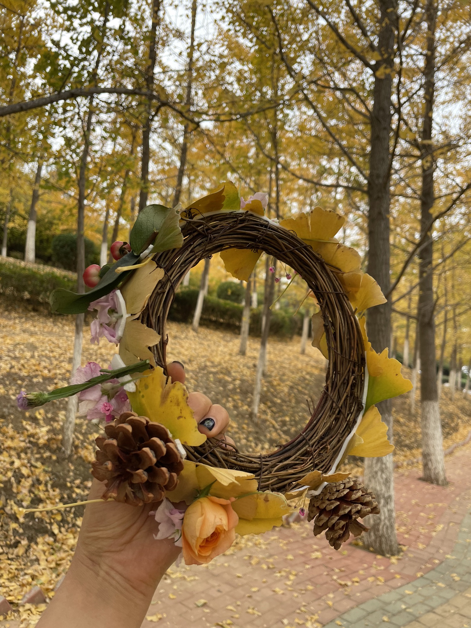 火炬体育公园旅行图片 1
