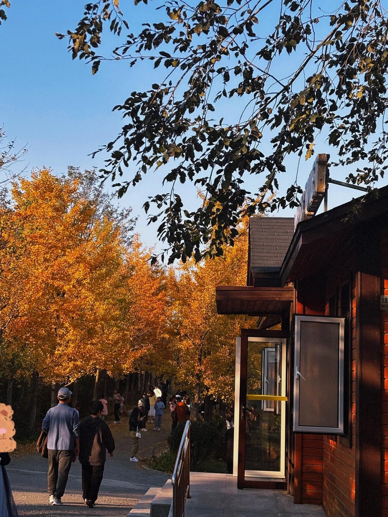 火炬体育公园旅行图片 1