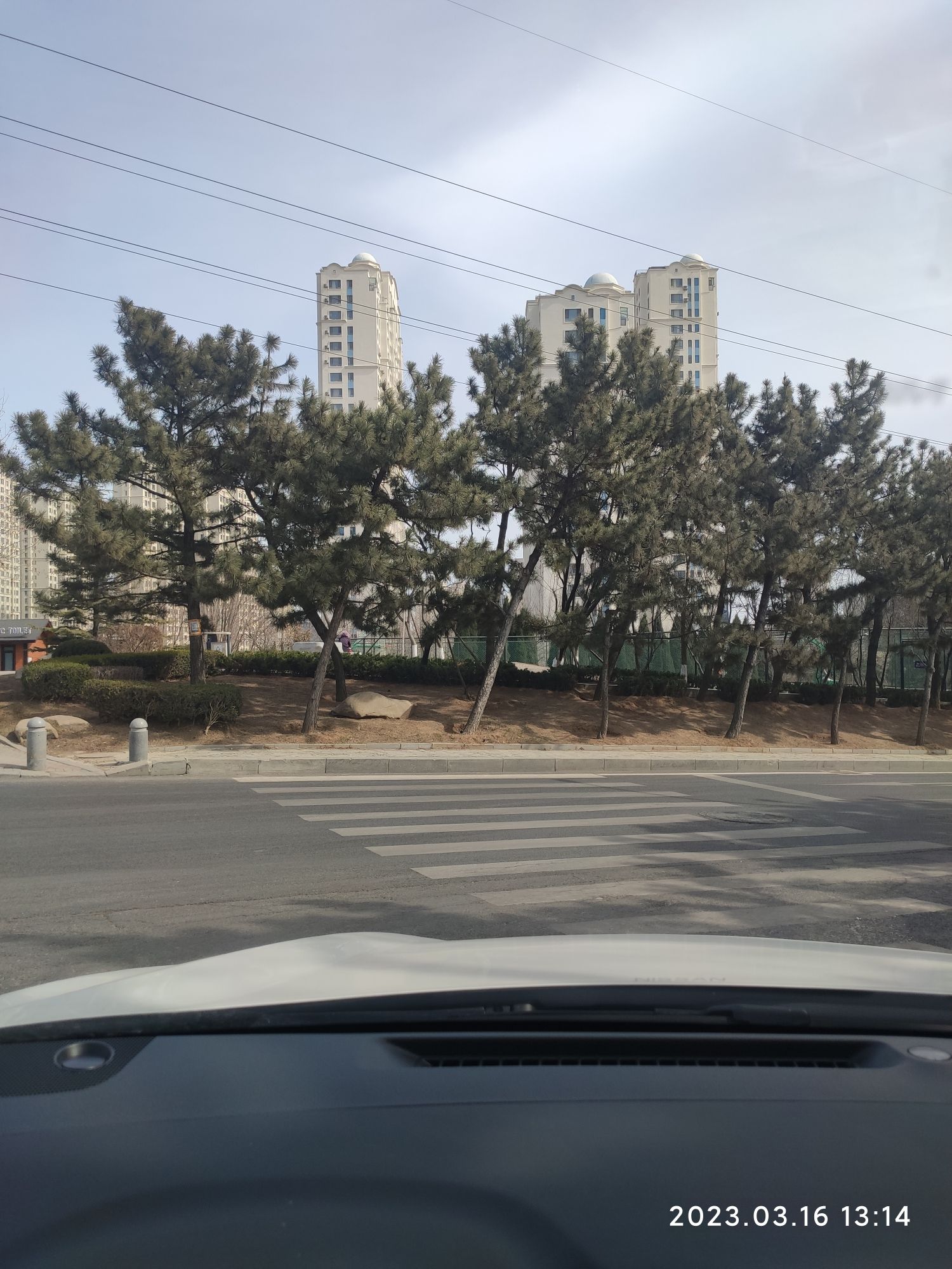 火炬体育公园旅行图片 1