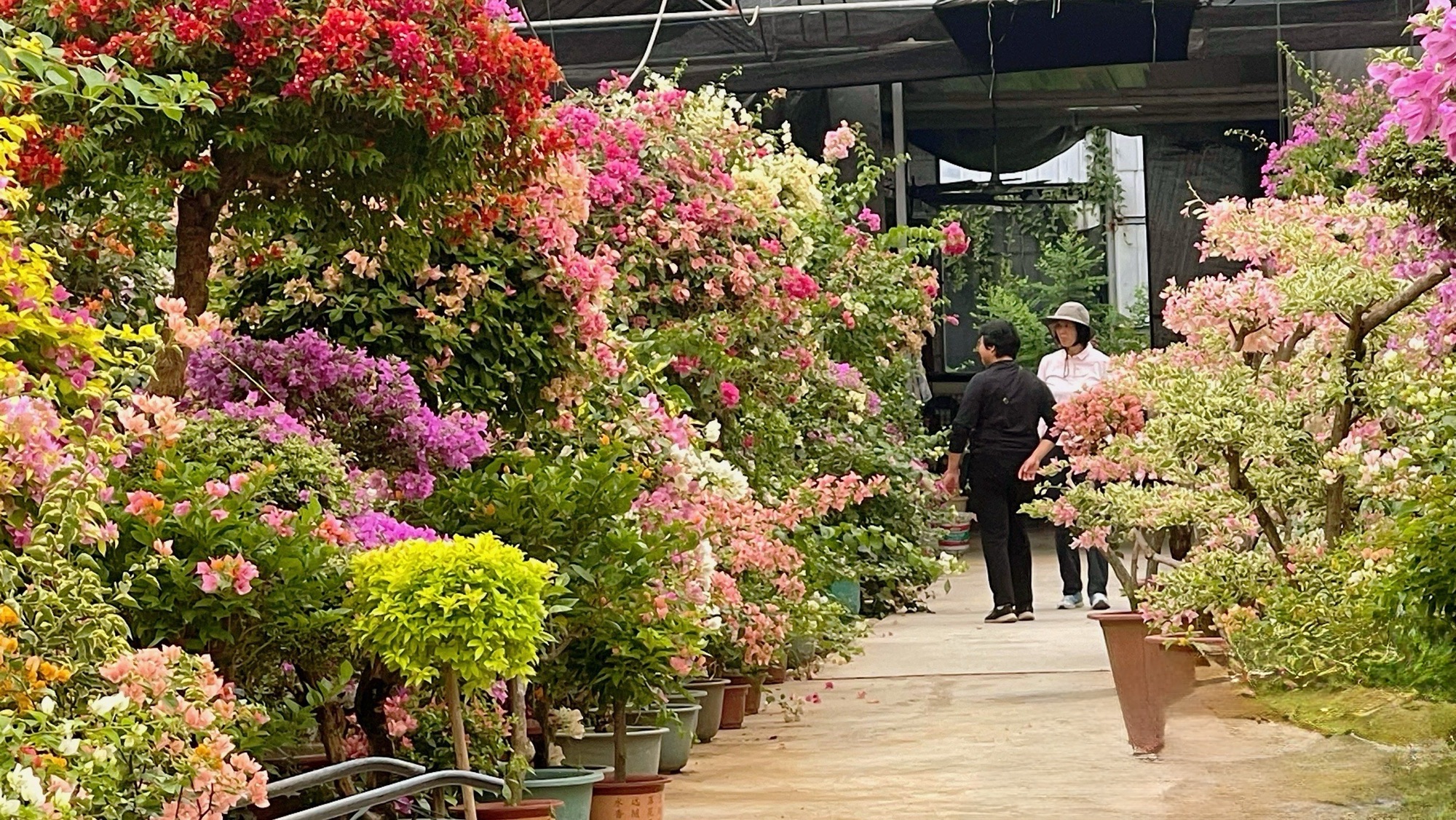 广州花卉博览园