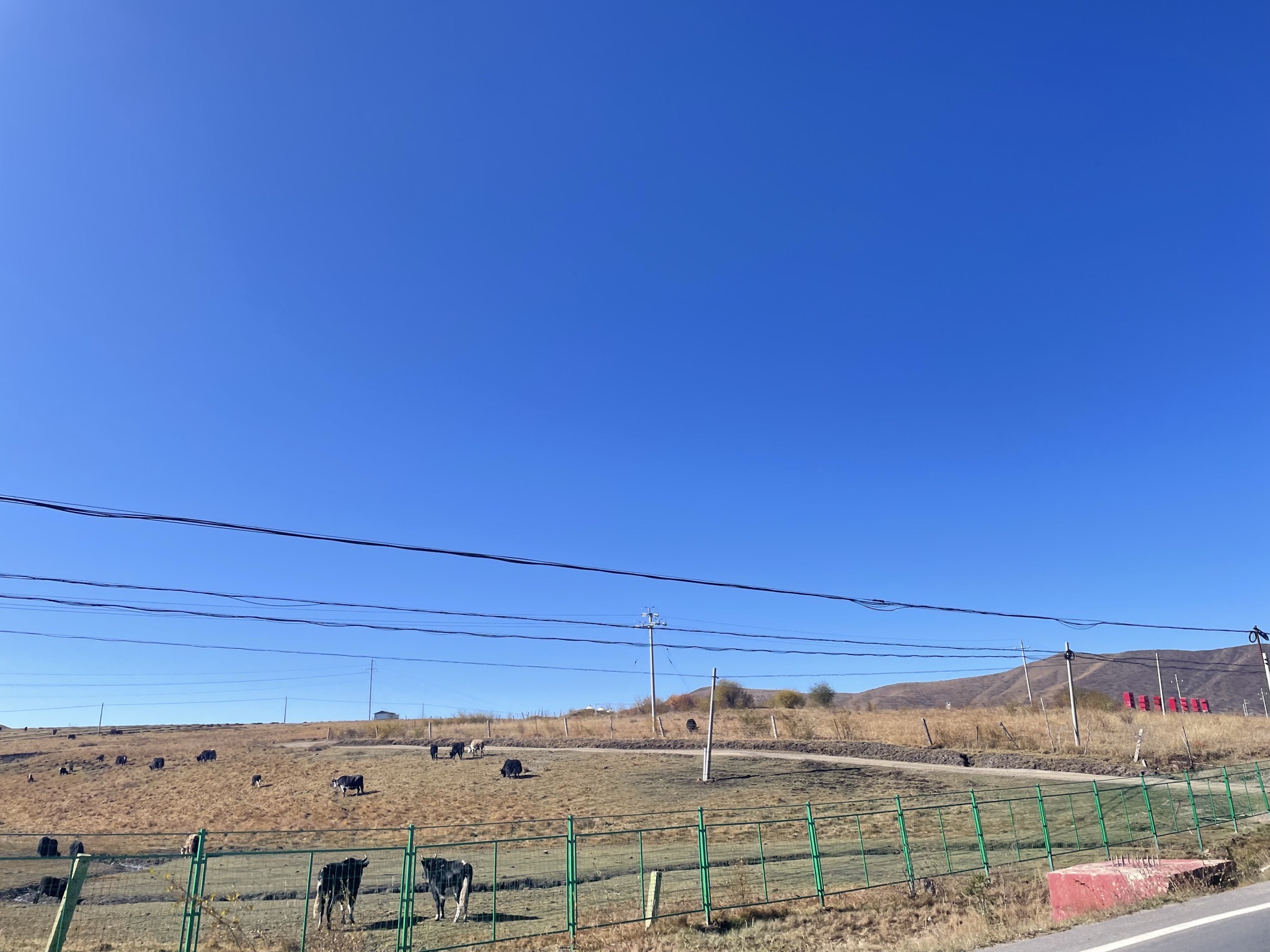 红原大草原旅行图片 3