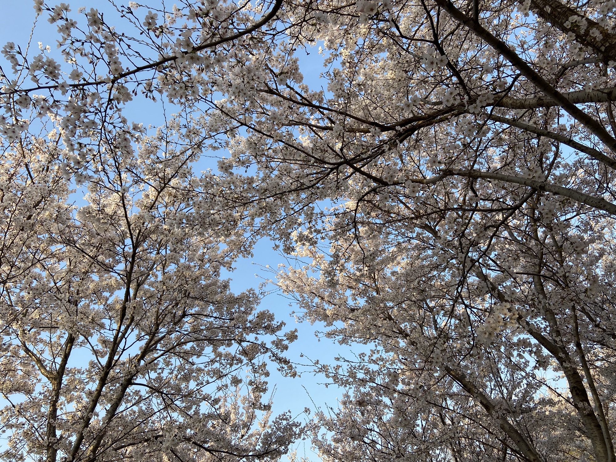 宿城水库旅行图片 3