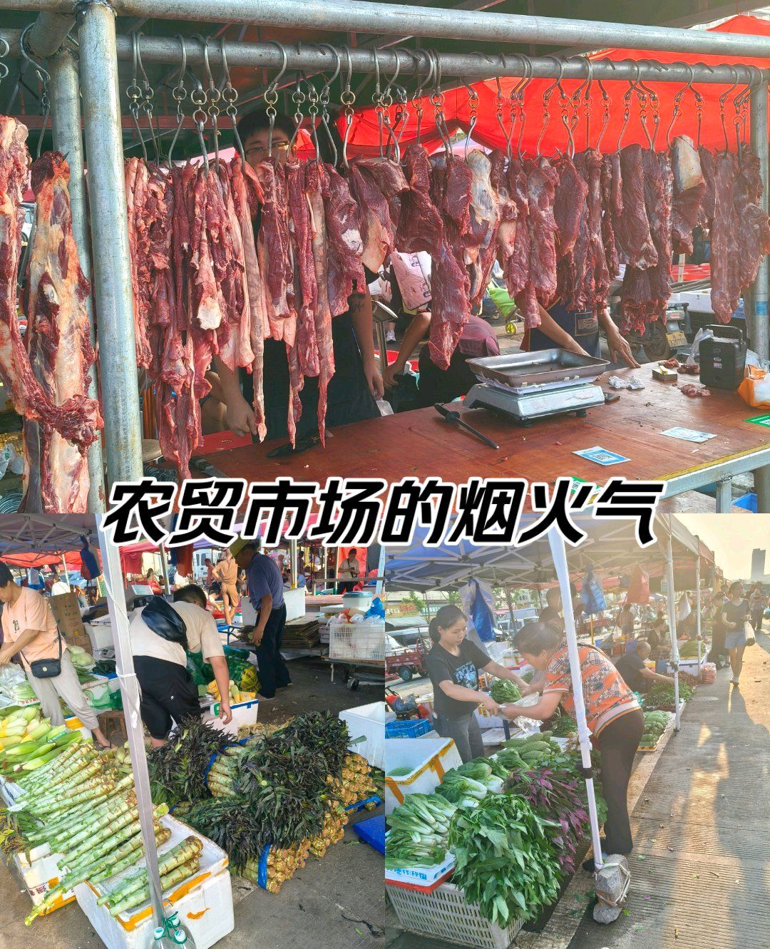 塘浦综合农贸市场