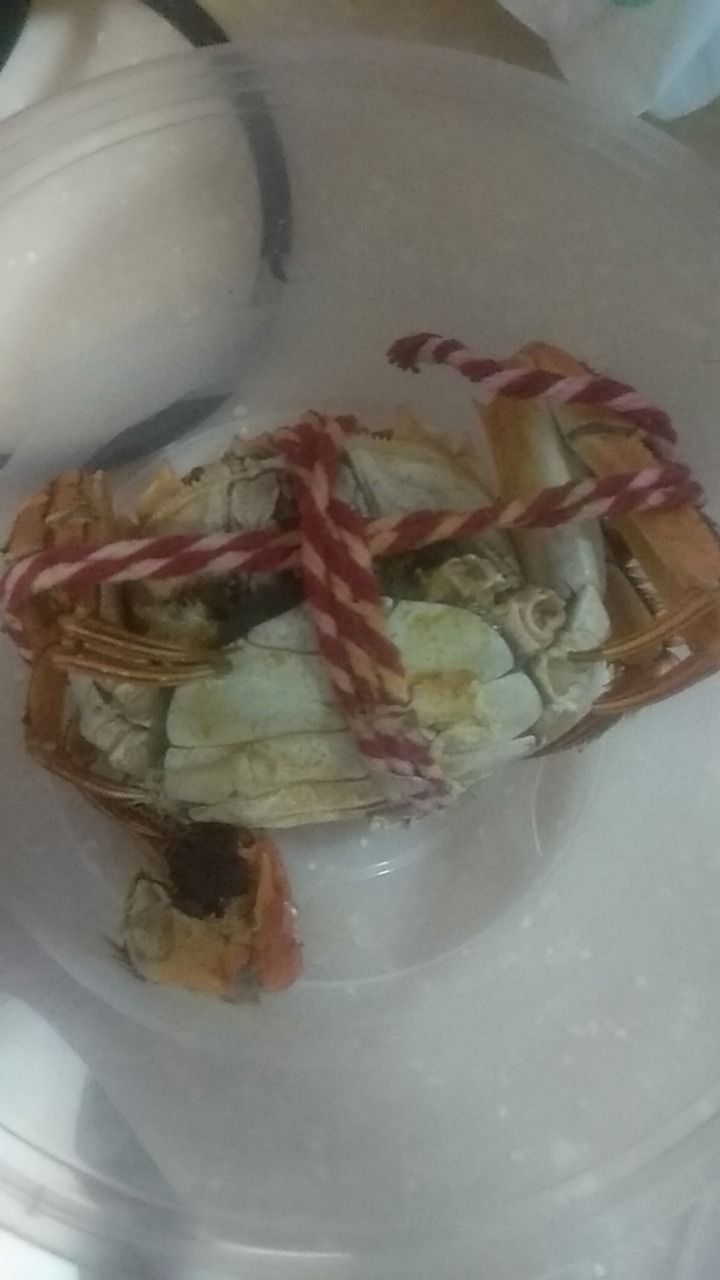 军山湖云水间生态农业旅游景区旅行图片 1