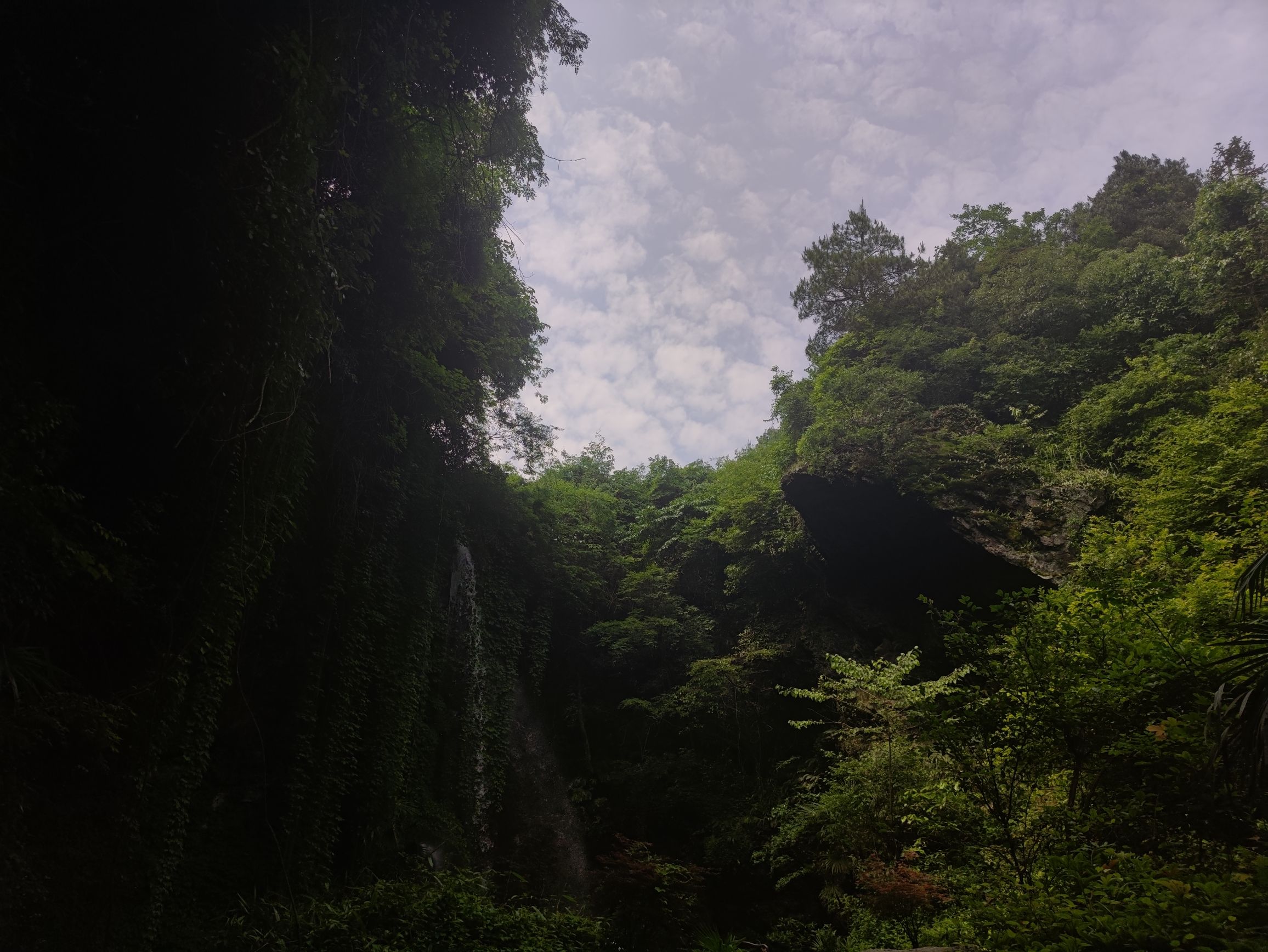 芦花瀑布旅行图片 1