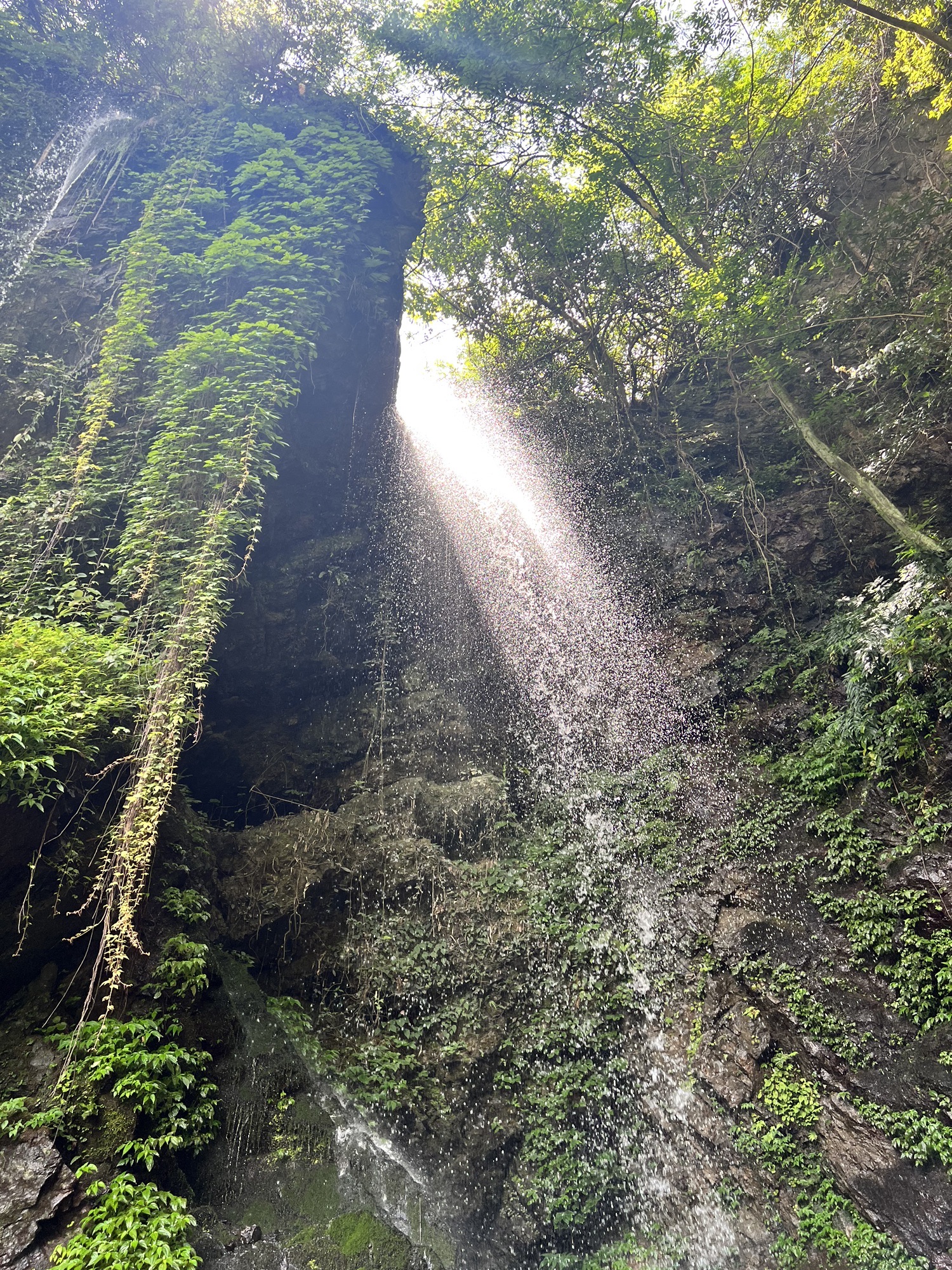 芦花瀑布旅行图片 1