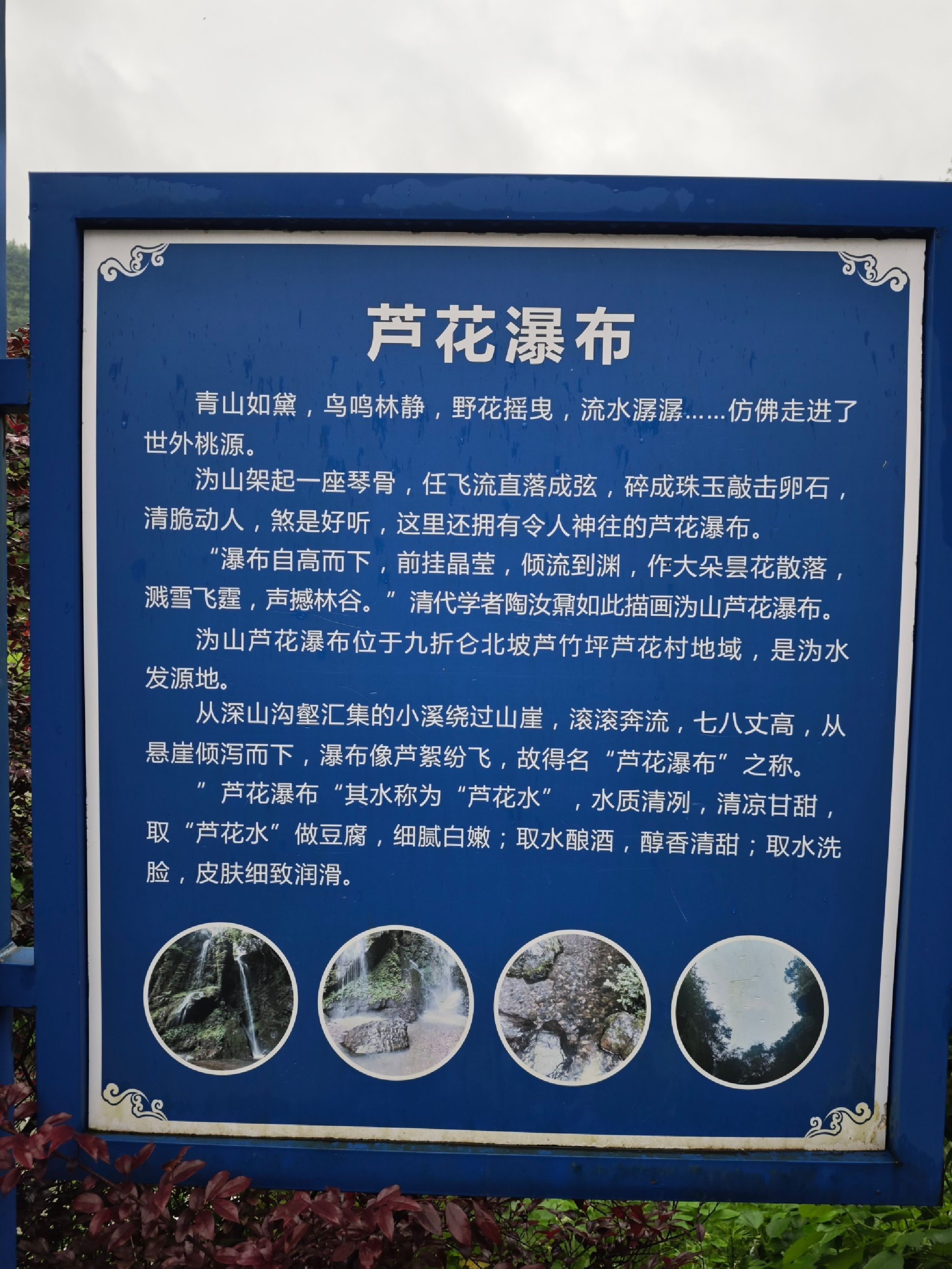 芦花瀑布旅行图片 1