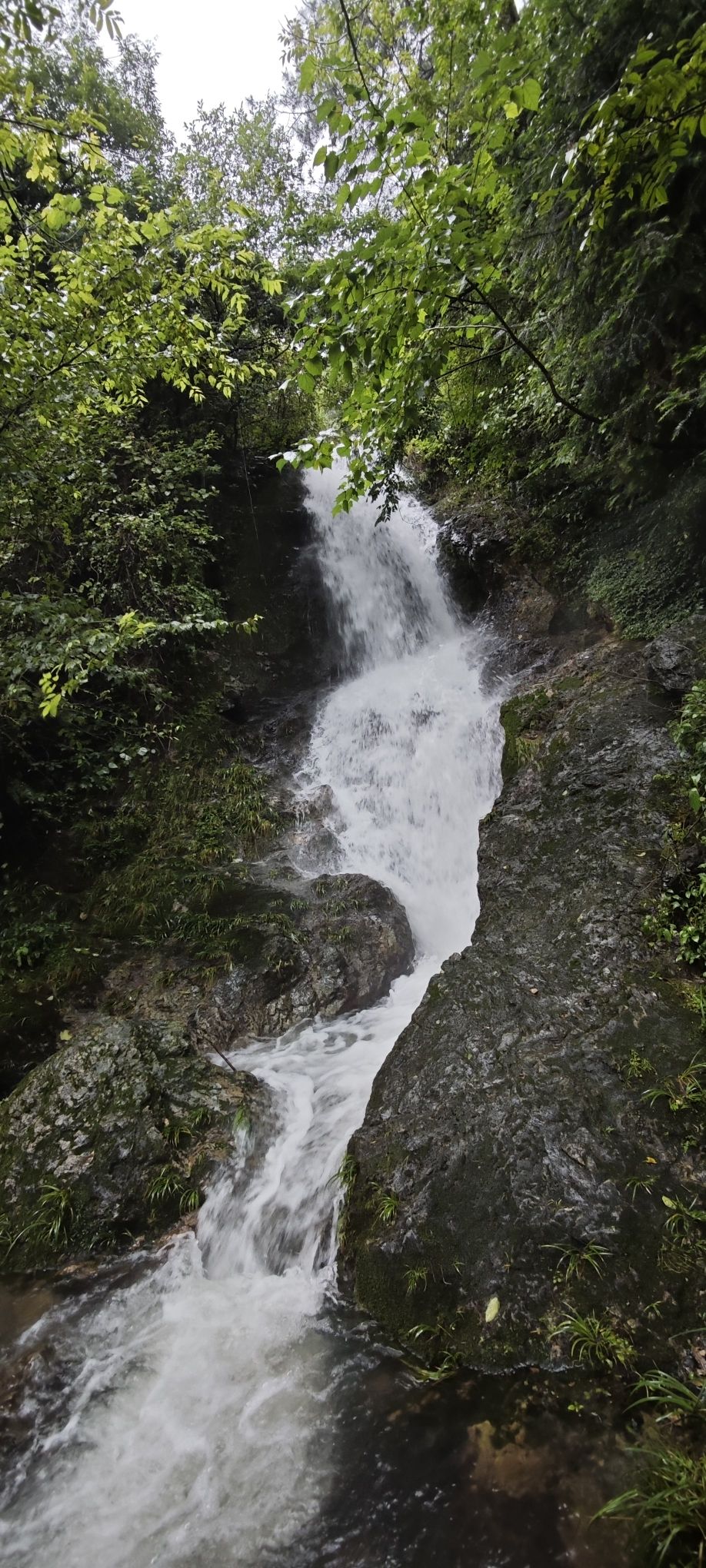 芦花瀑布旅行图片 3