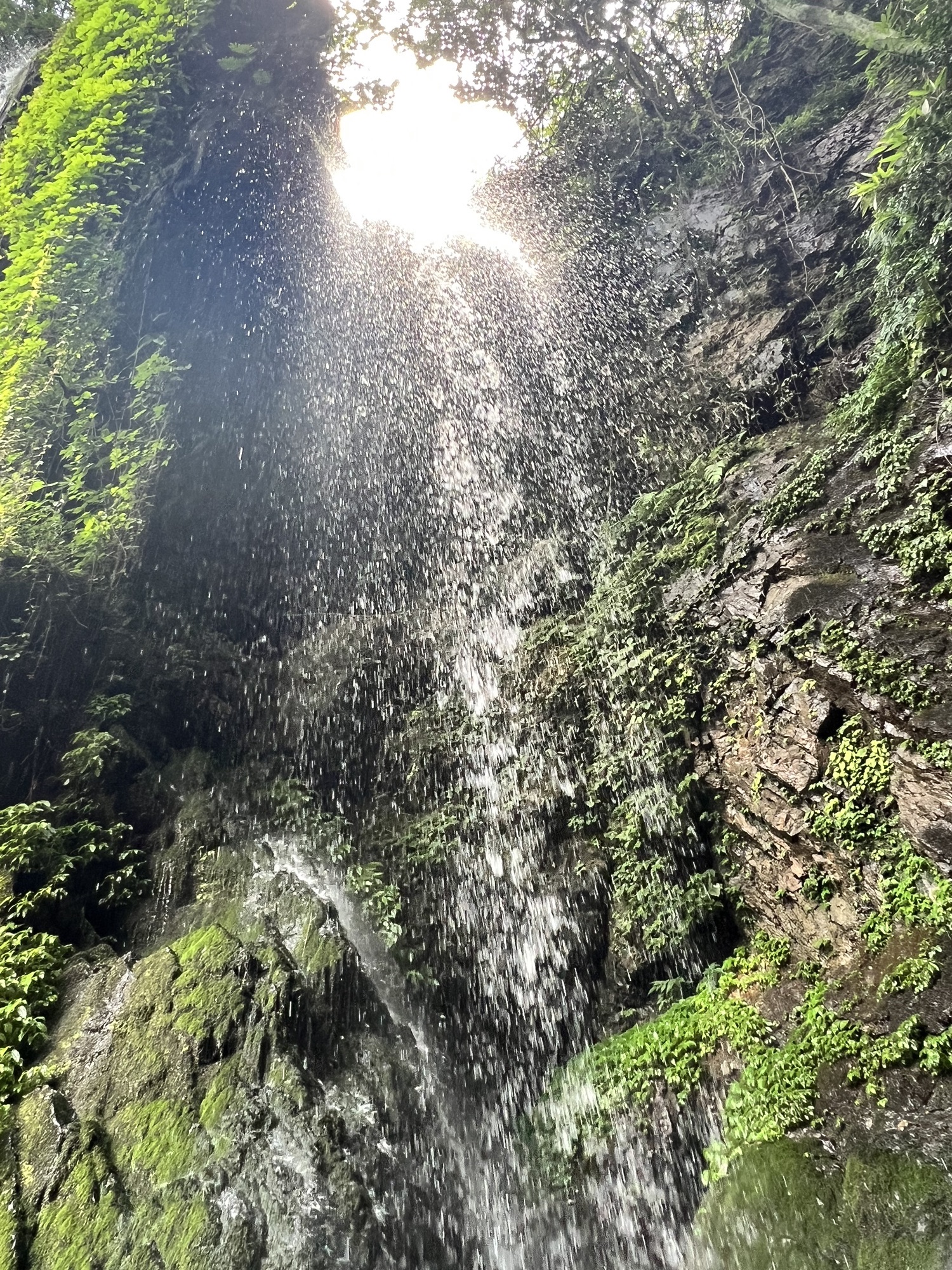 芦花瀑布旅行图片 2